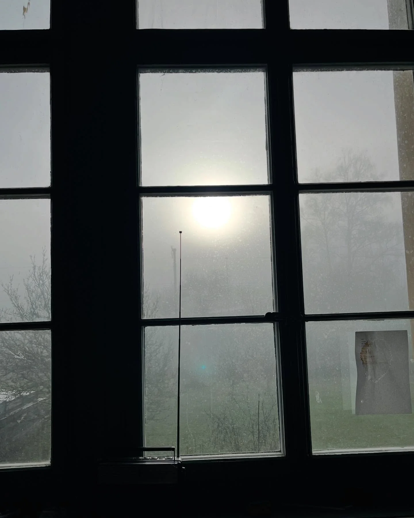 die sonne vor der l&auml;ngsten nacht #weissweisslich #sonnesonne #solstice #atelier #amfenster #annetteschmucki