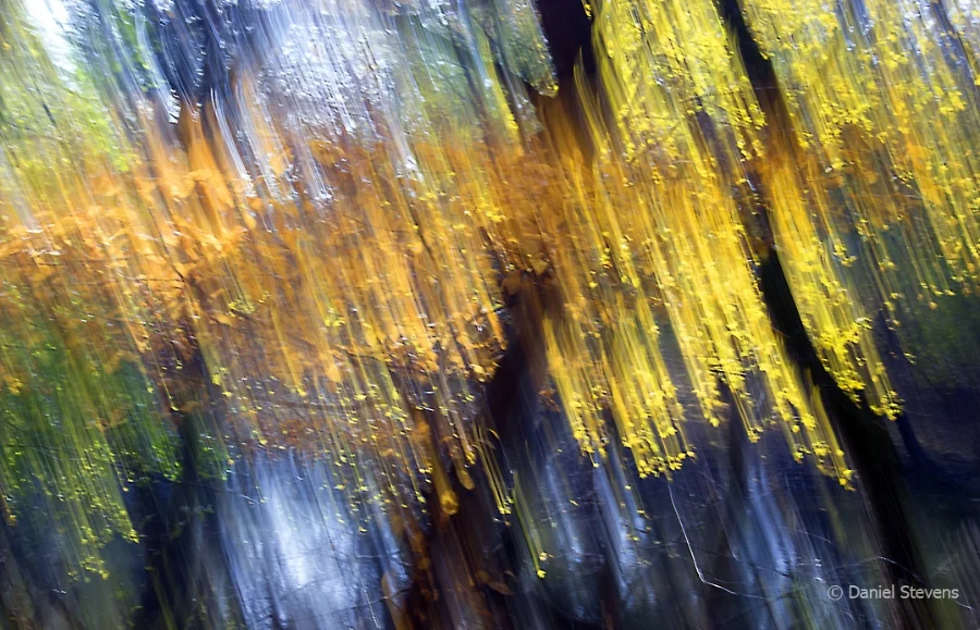 Northern Lights