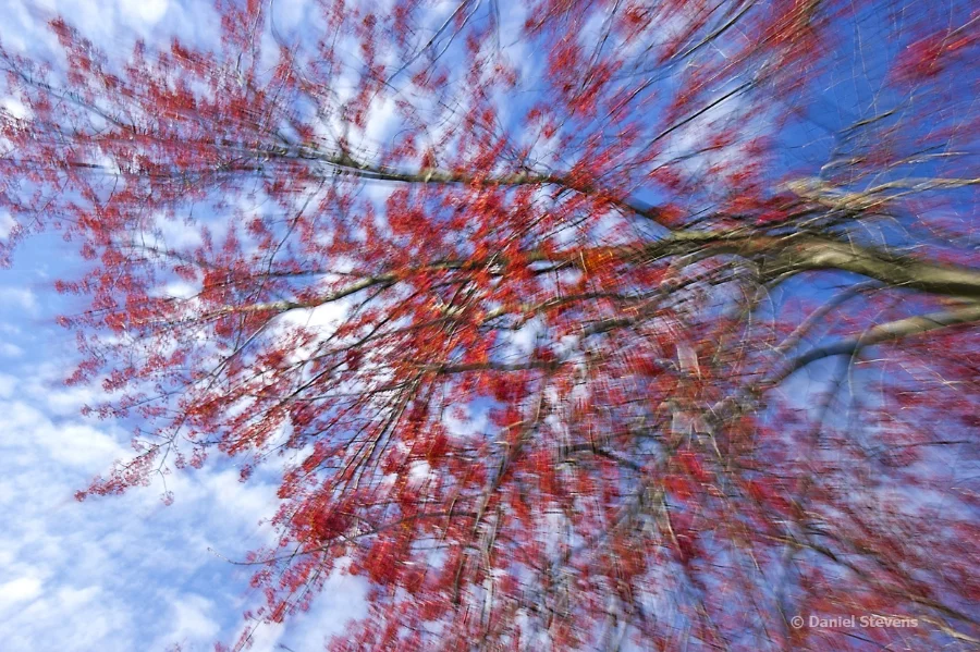 Spring Sky