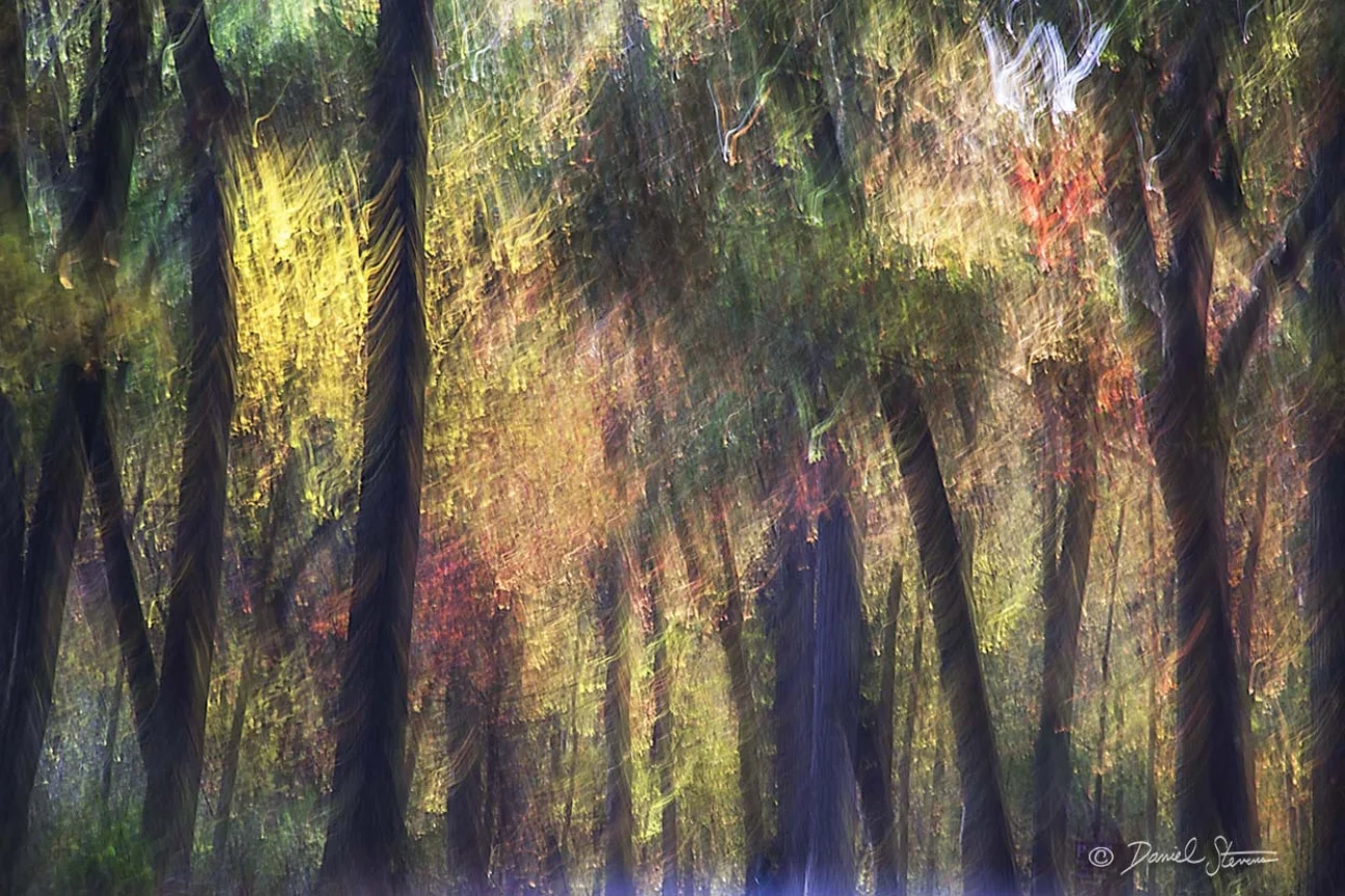 Fall Dance