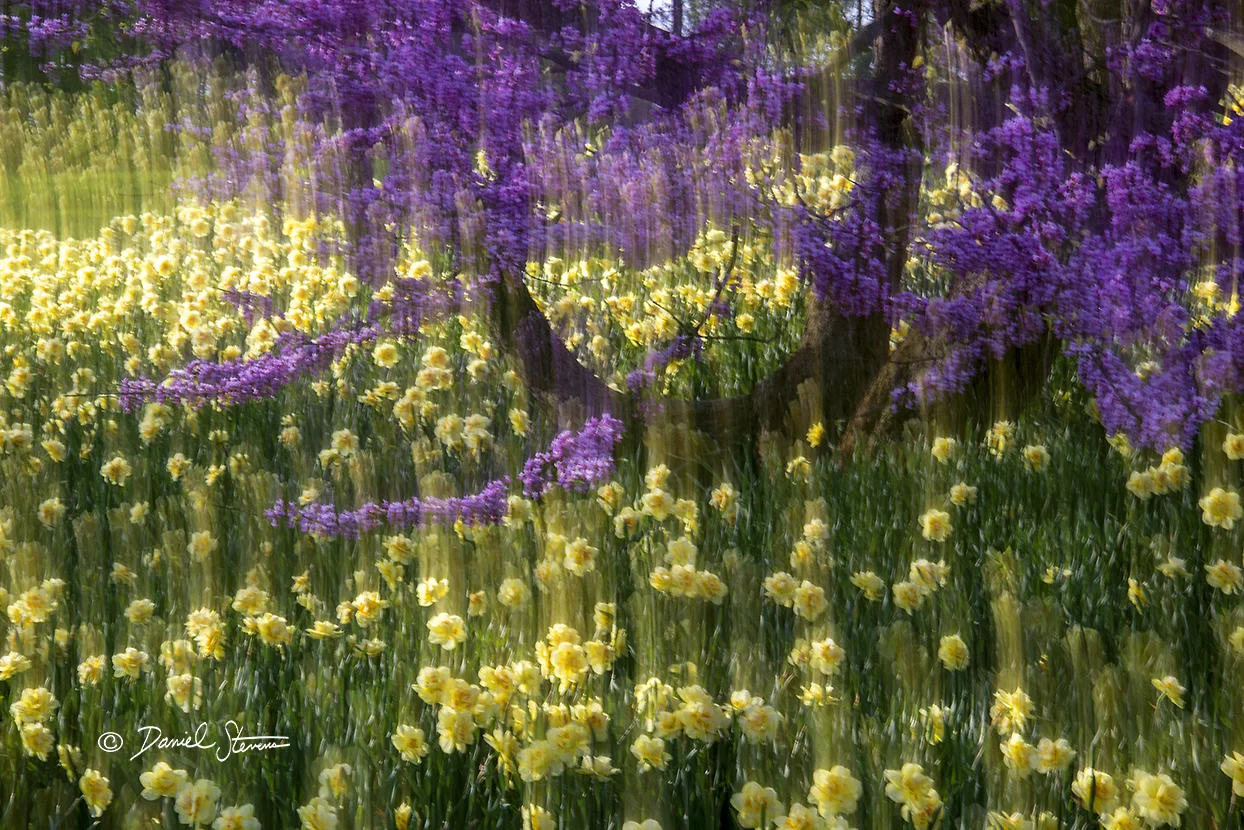 Yellow Sea