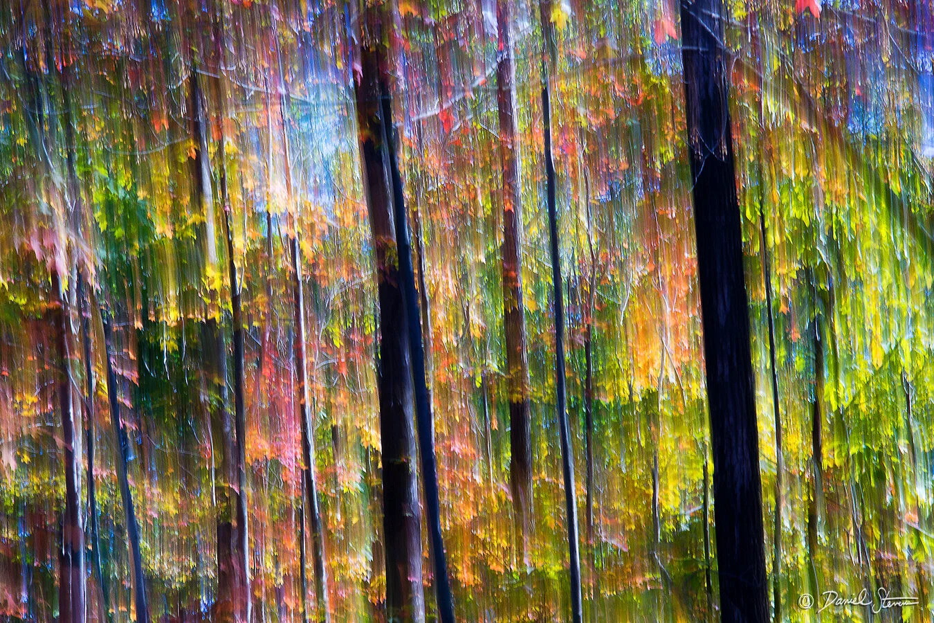 Fall Fireworks