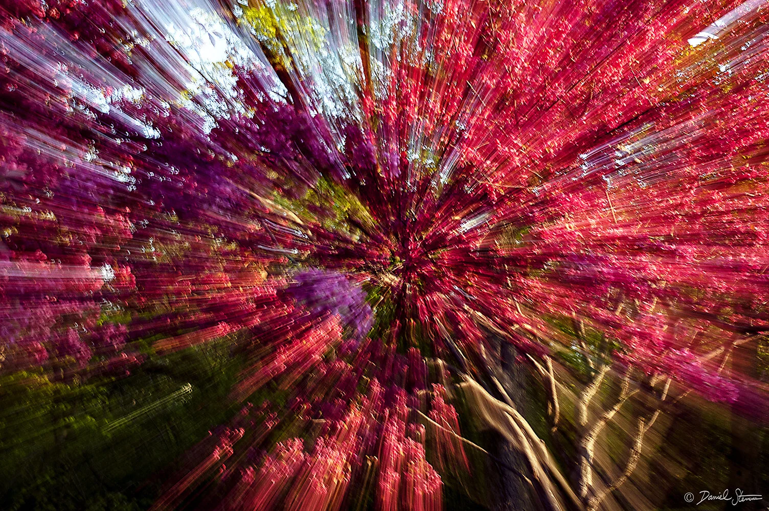 Forces of Spring