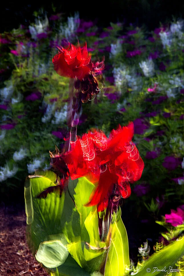 Ruby Tuesday