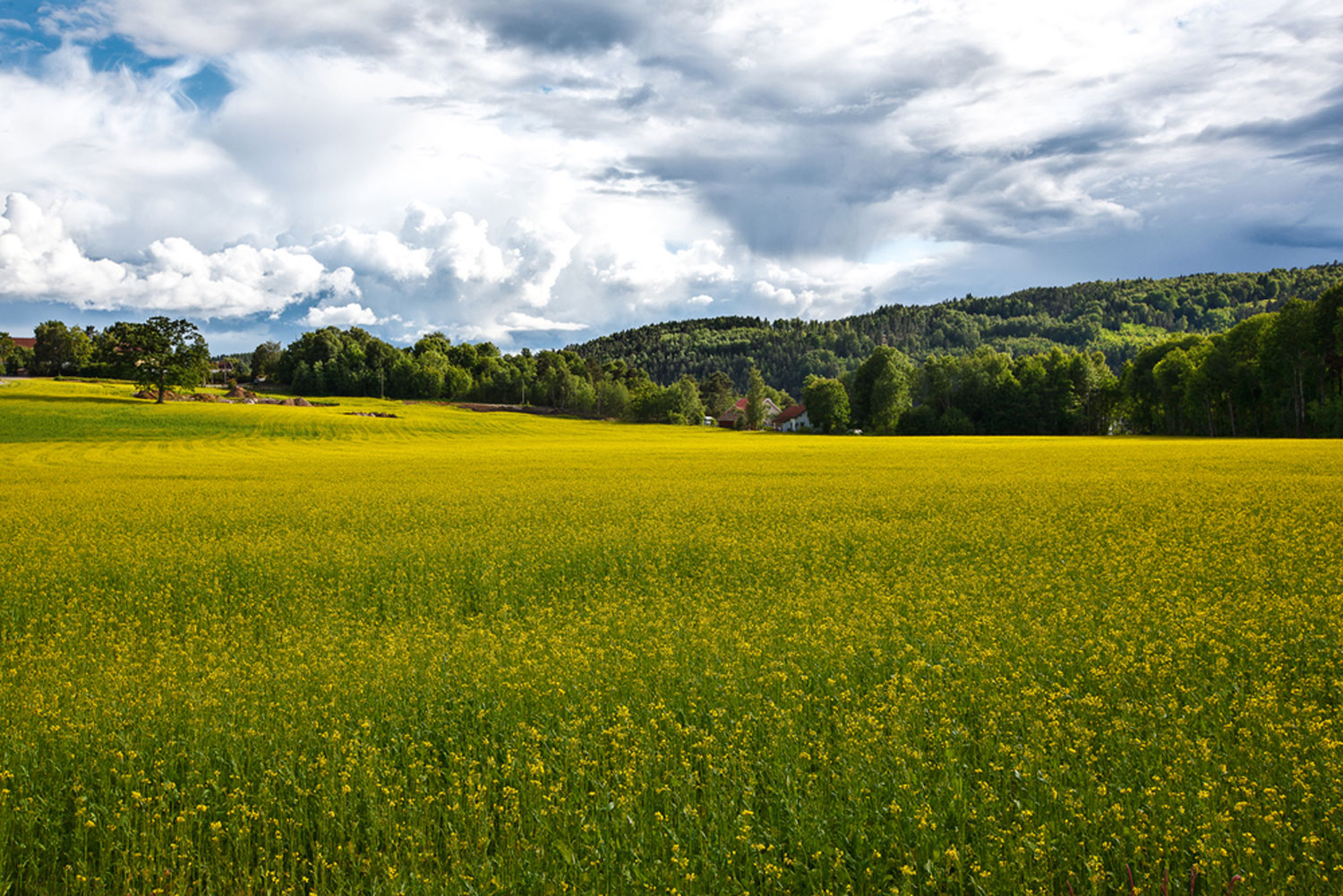 Kyststien går gjennom det praktfulle landskapet i Enningdalen.