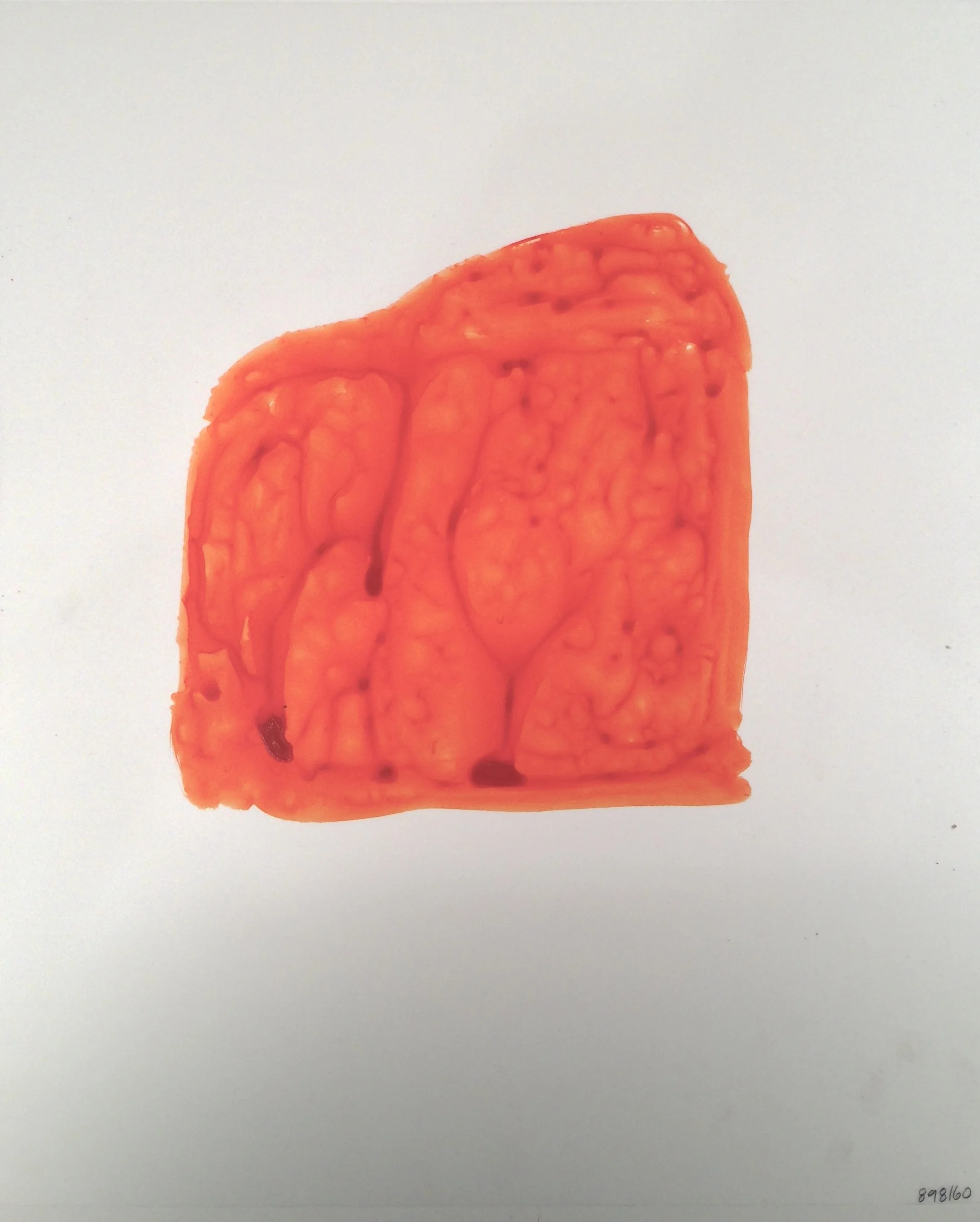 IMG_6633 - Version 2.JPG