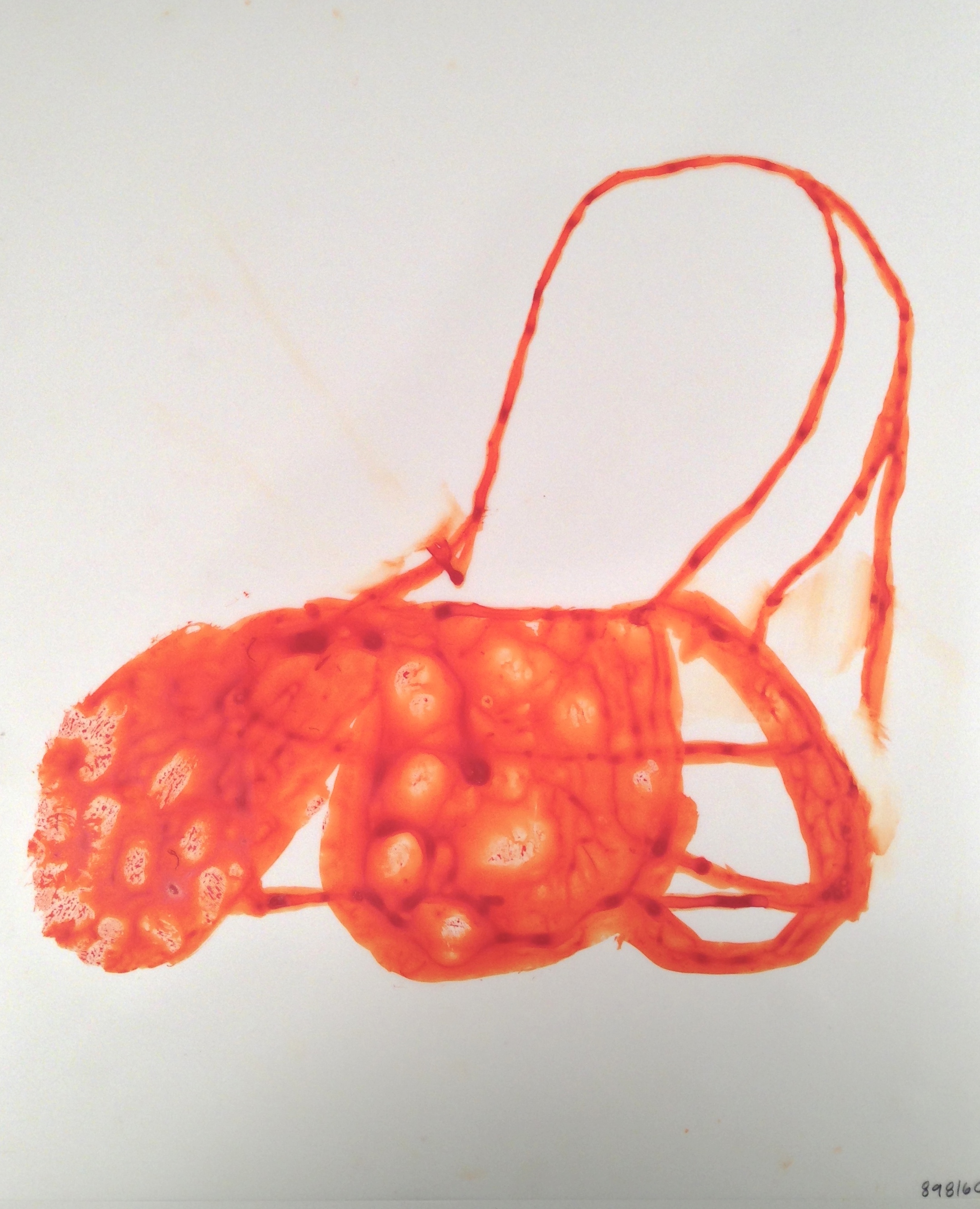 IMG_6632 - Version 2.JPG