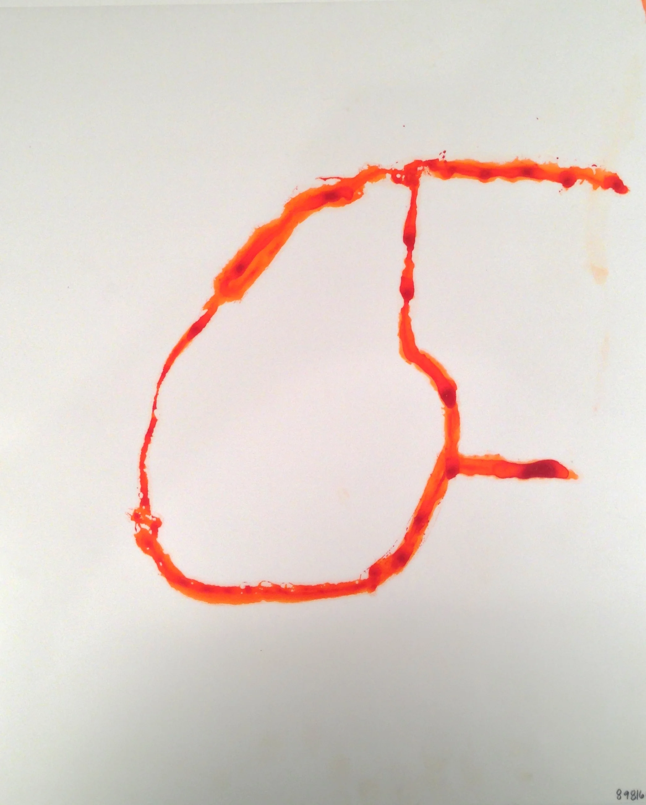 IMG_6637 - Version 2.JPG