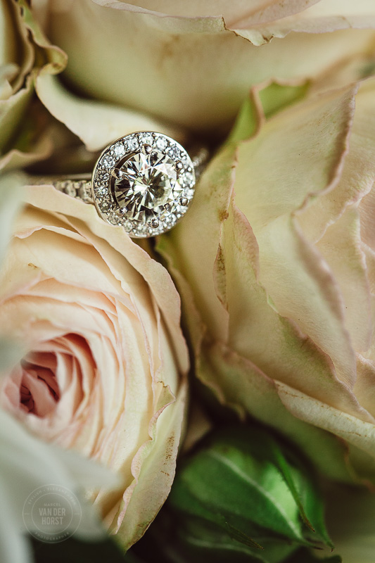 Farm Vigano Wedding-1014.jpg