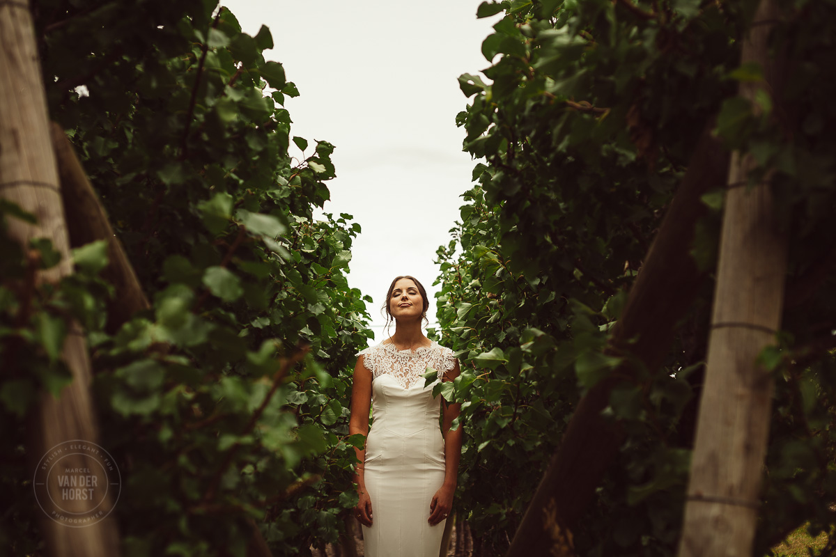 Farm Vigano Wedding-1057.jpg