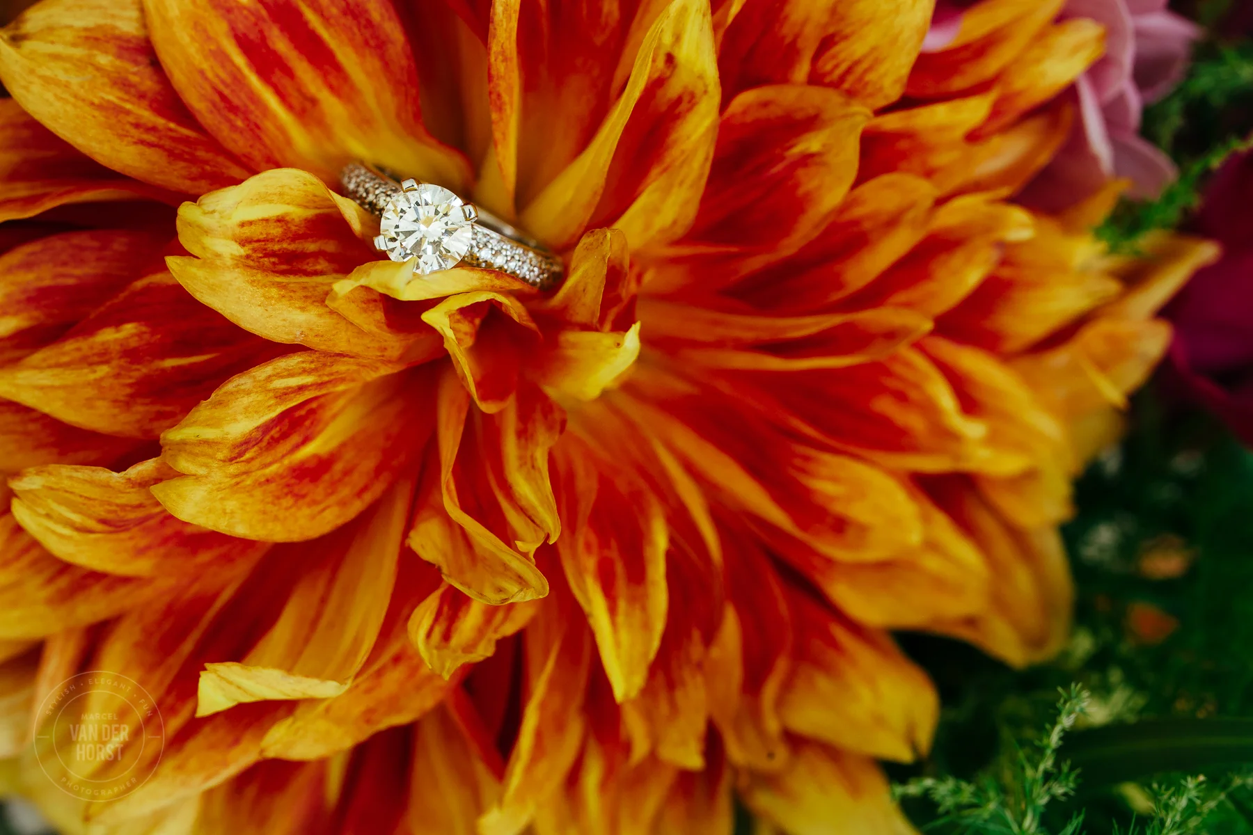 Melissa Matt Wedding-1010.jpg