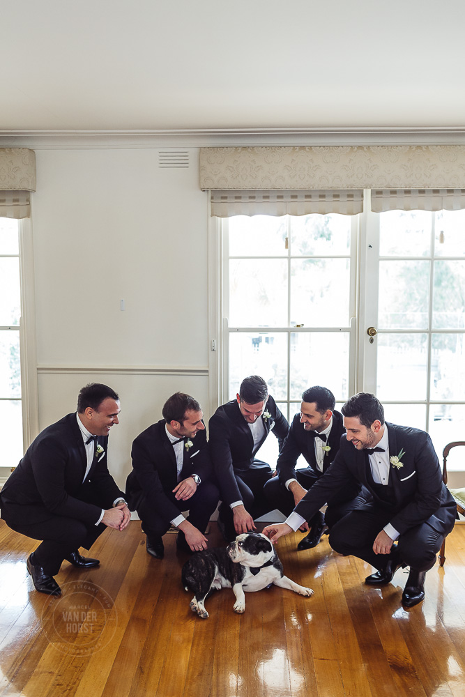 Xavier-Mountain-Goat-Wedding-1011.jpg