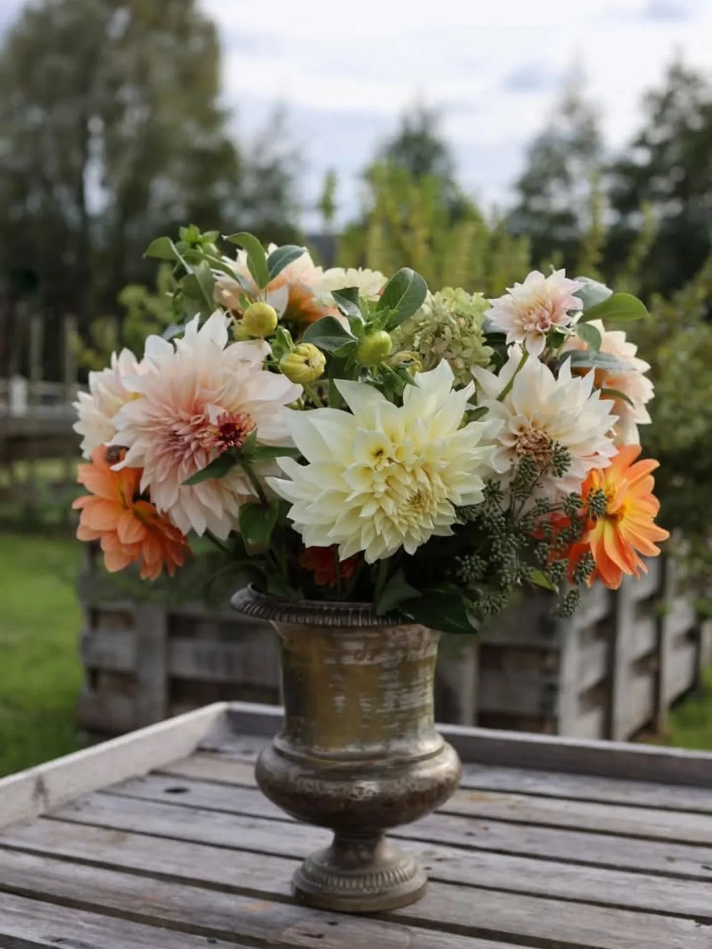 Moving between seasons...

What to let go of and bring to a quiet rest, and what to push forward into the next. 

#rhlaferme #autumnarrives #fallgarden #fallharvest #normandyfarm #fallflowers #farmgarden