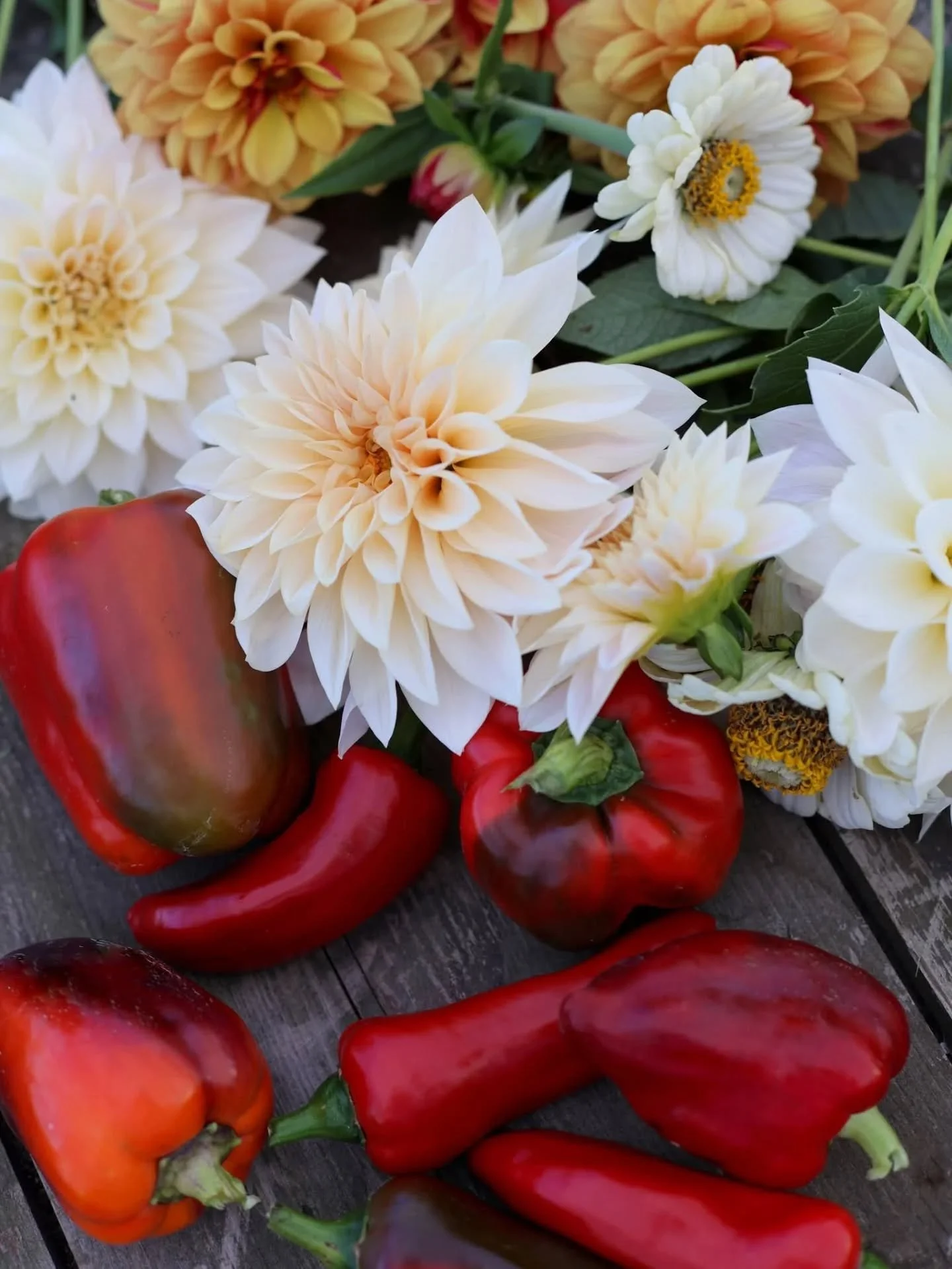 Peppers in October. A first. So another batch of spicy pepper relish that we are eating on top of just about everything these days -- eggs, crackers with goat cheese, burgers, tuna salad ...

Tomorrow I'm heading to Paris and I can't wait! A much nee