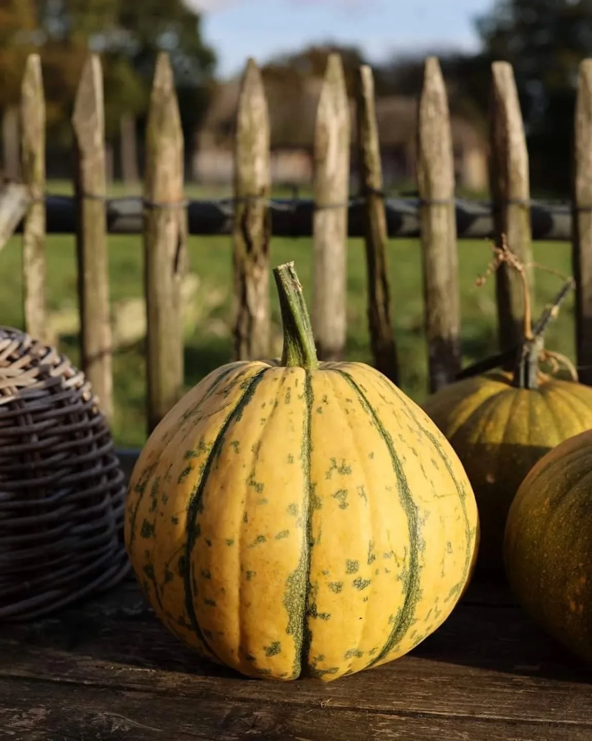 End of the week. How is that possible? And -- first week of November ...what!?

How did your week go? Mine went in a blink tying up loose ends on the business plan for the new shop and planning this weekend's live online cooking class which is happen