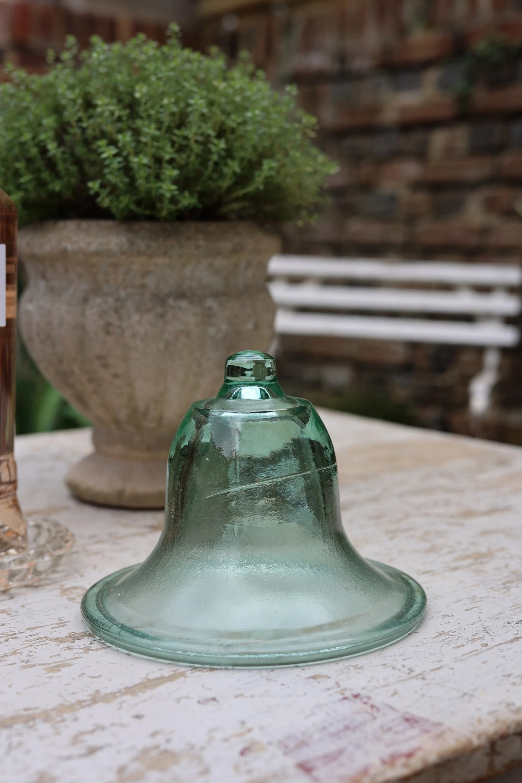 Glass Garden Cloche