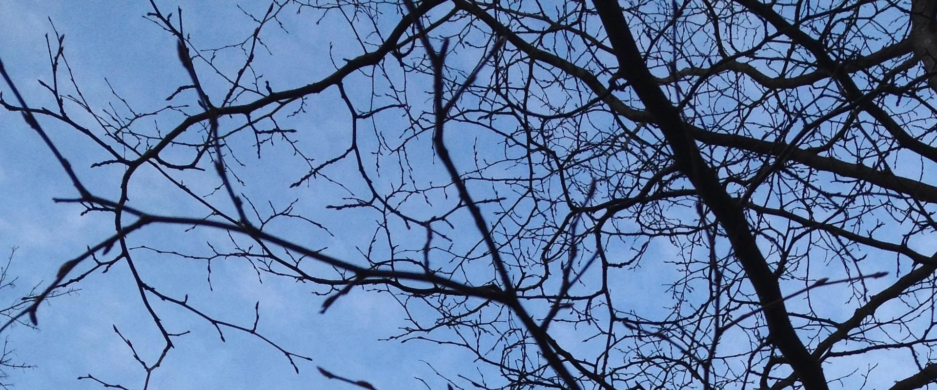 RETIRO PARA A QUARESMA 2014