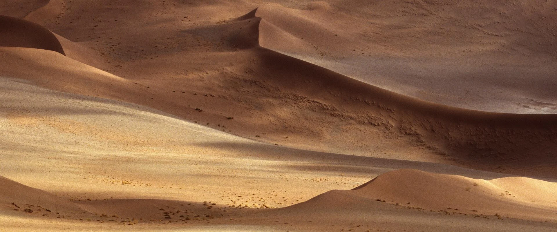 RETIRO DE ADVENTO 2014