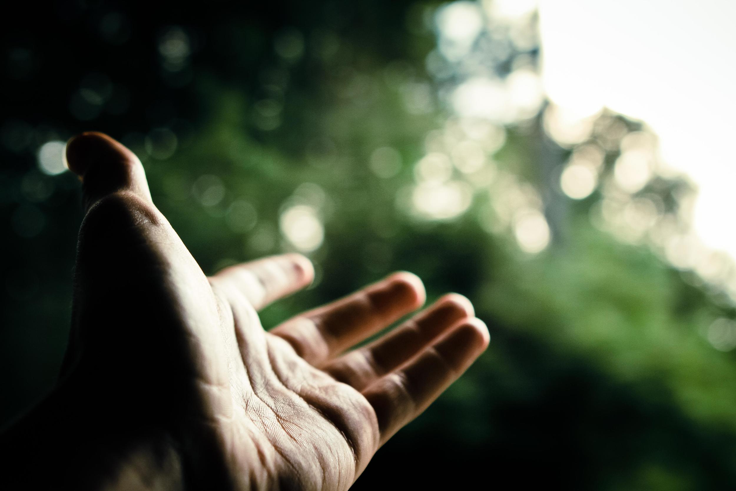 Nono Domingo do Tempo Comum