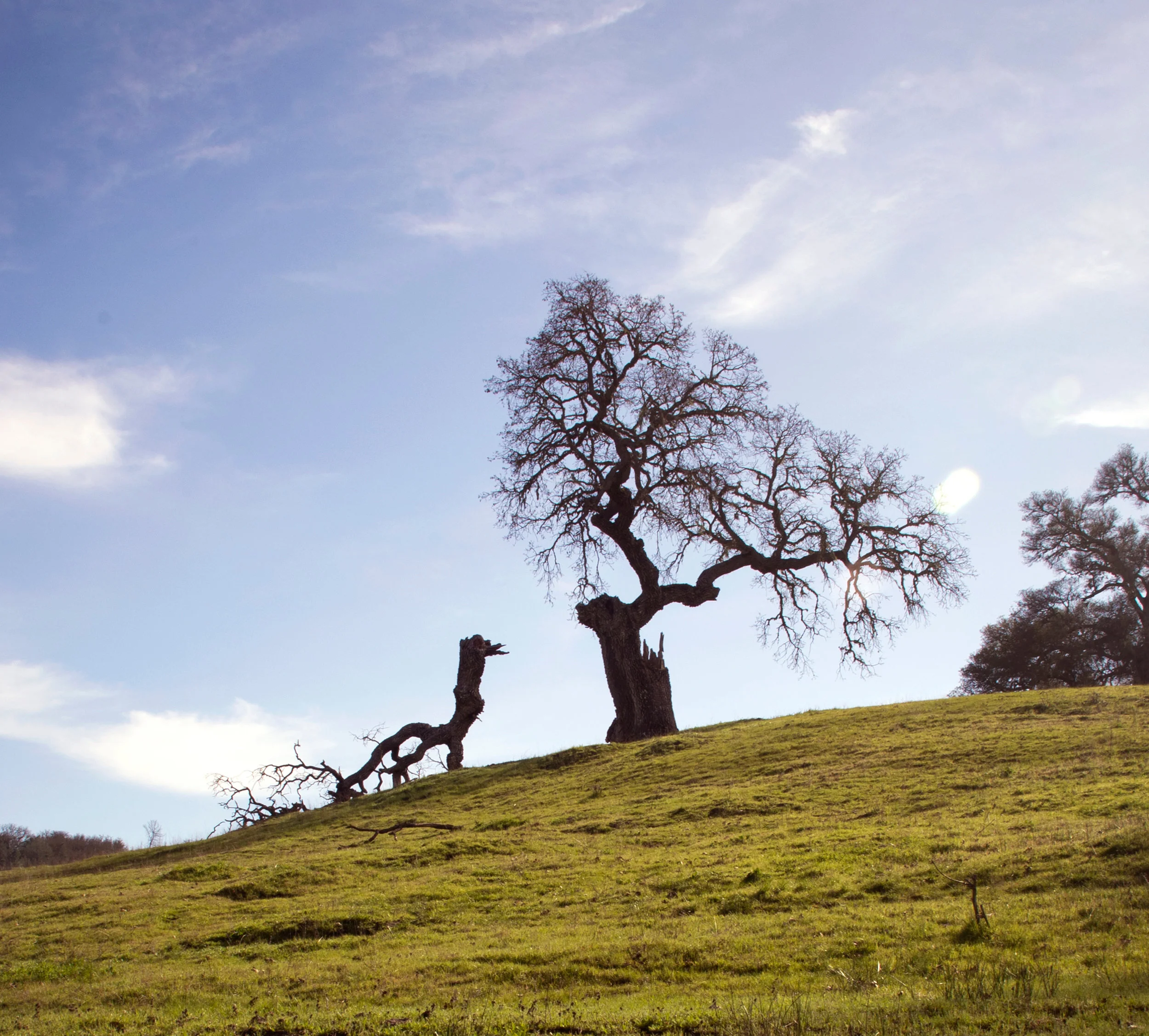 Quarta-feira da Semana Santa