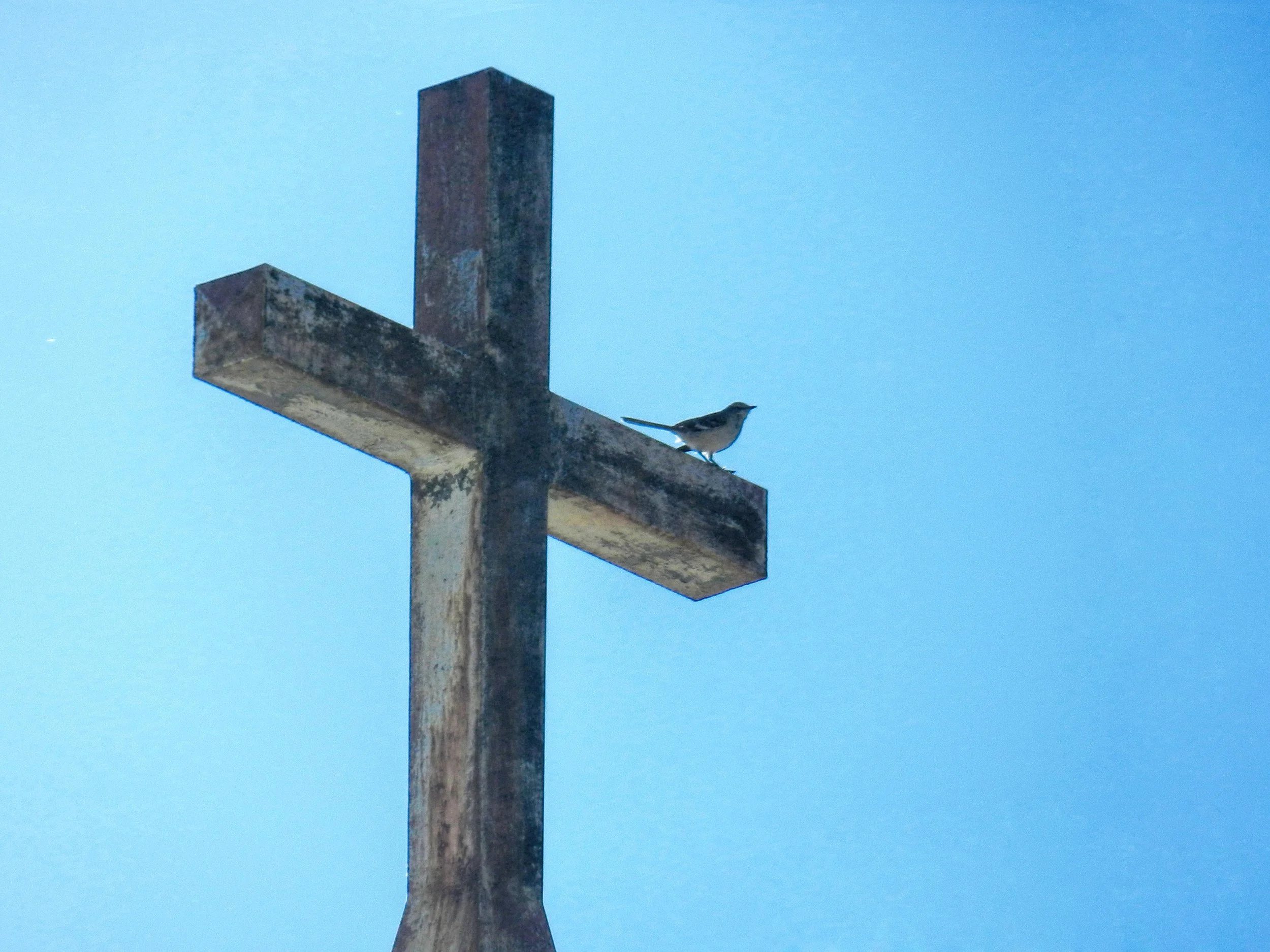 Terceiro Domingo da Páscoa