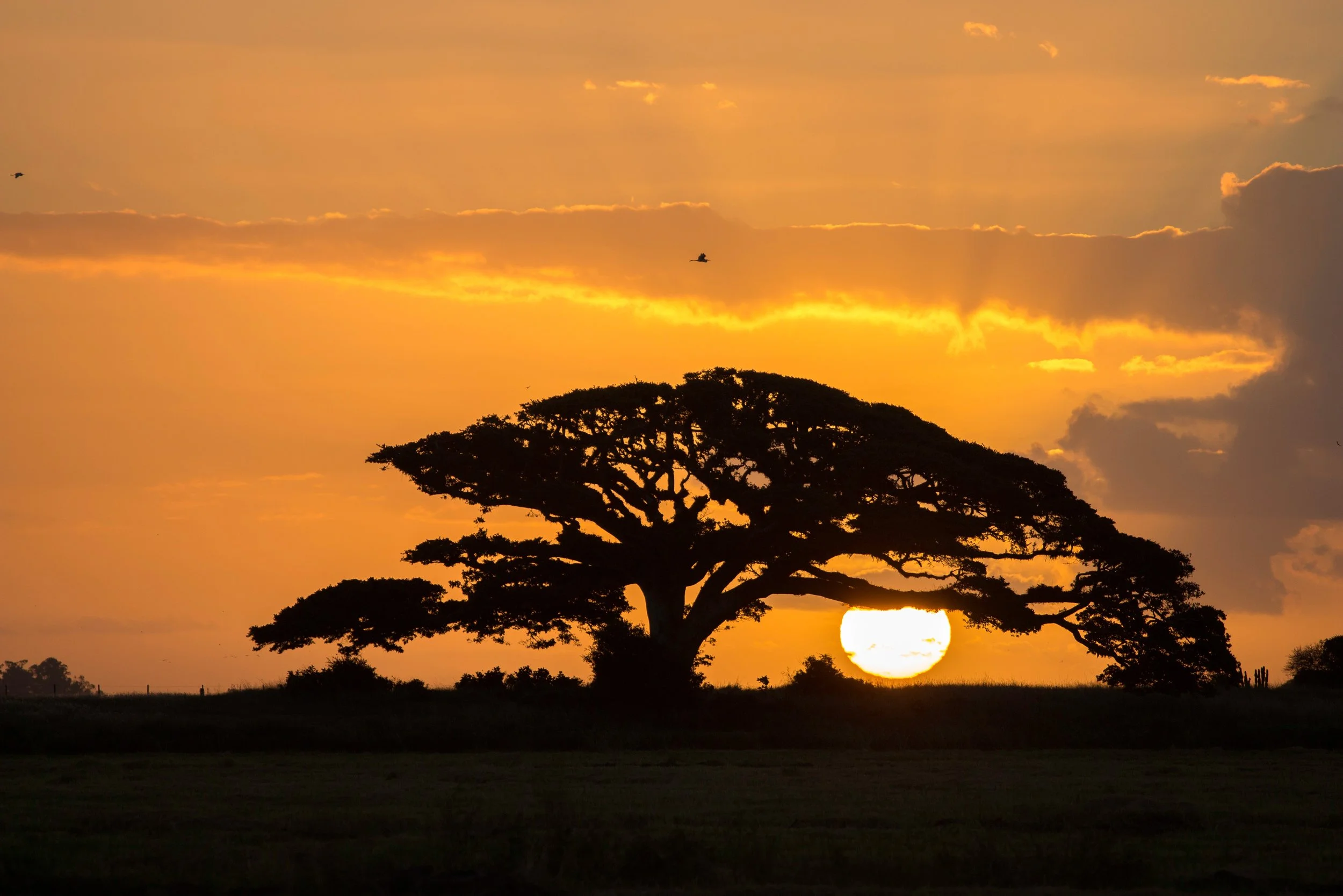 Terça-feira da vigésima nona semana do Tempo Comum