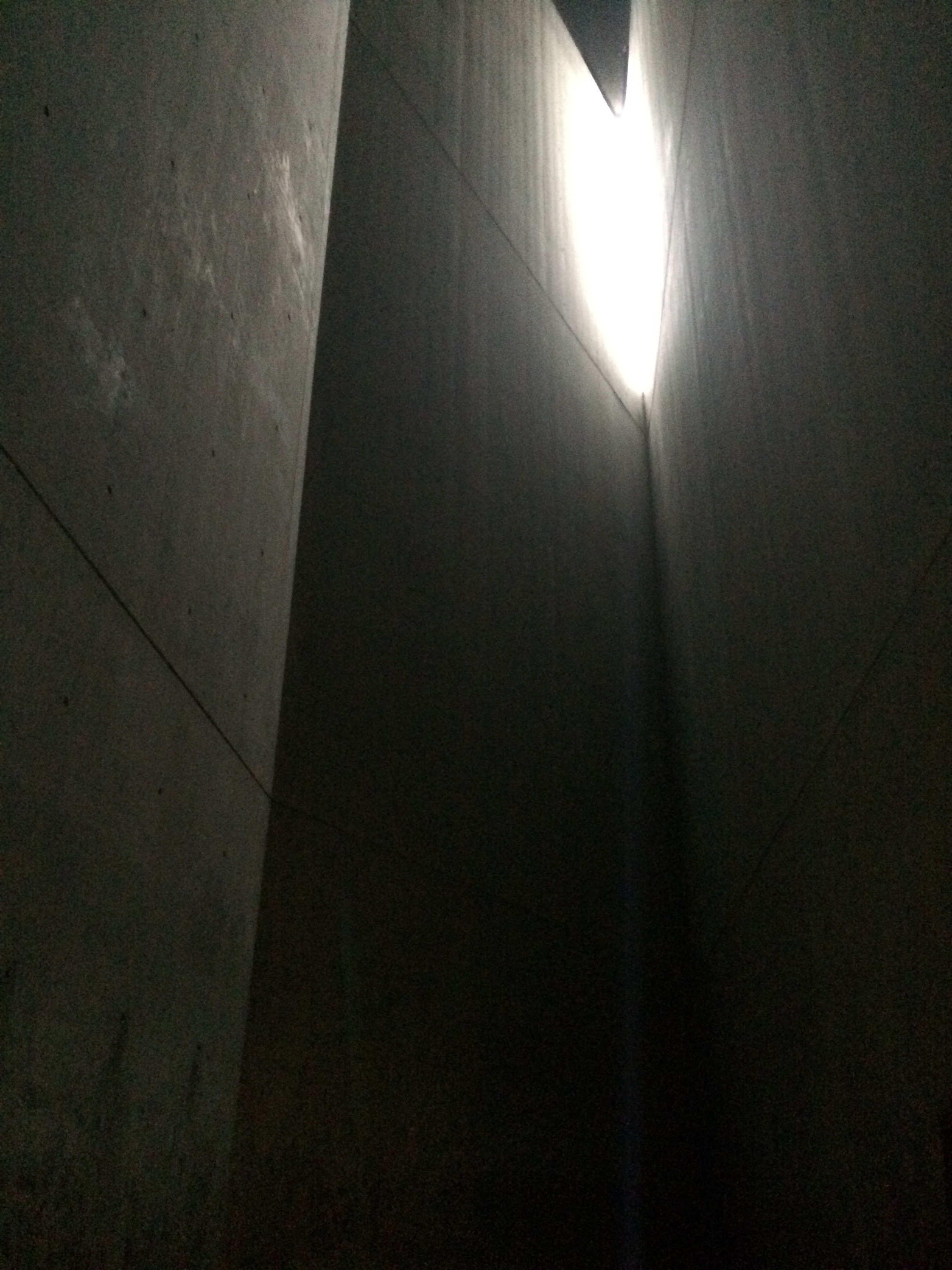 Solenidade da Imaculada Conceição de Nossa Senhora, Padroeira de Portugal