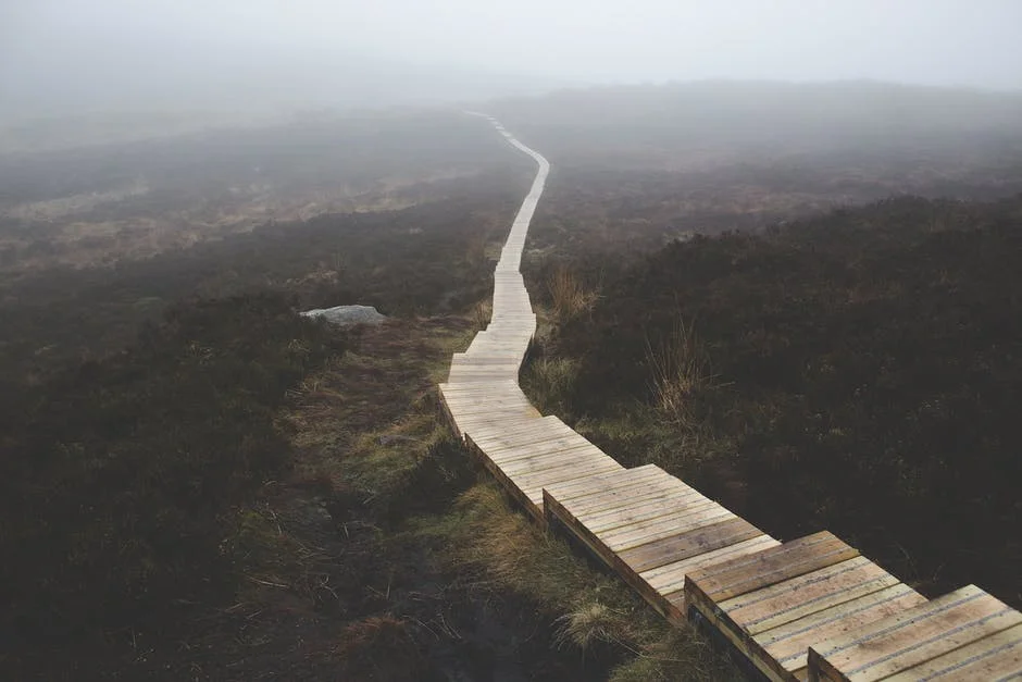 Quarta-feira, memória litúrgica de São Francisco de Sales