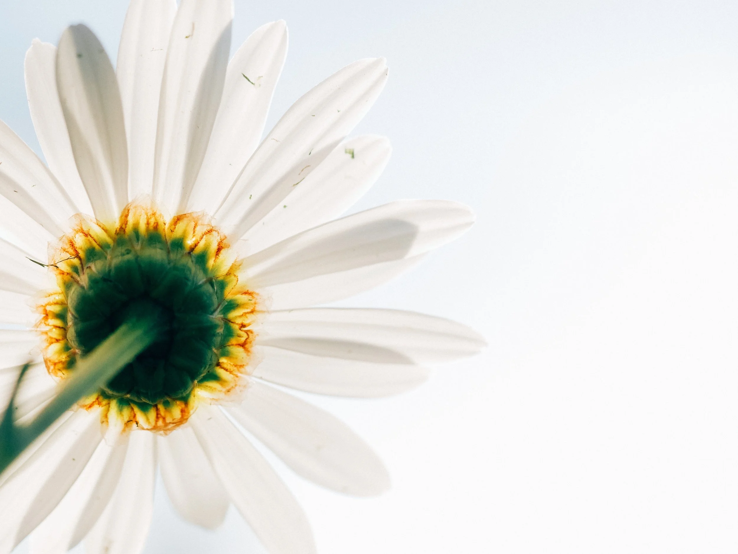 Sábado, sexto dia do Tempo do Natal