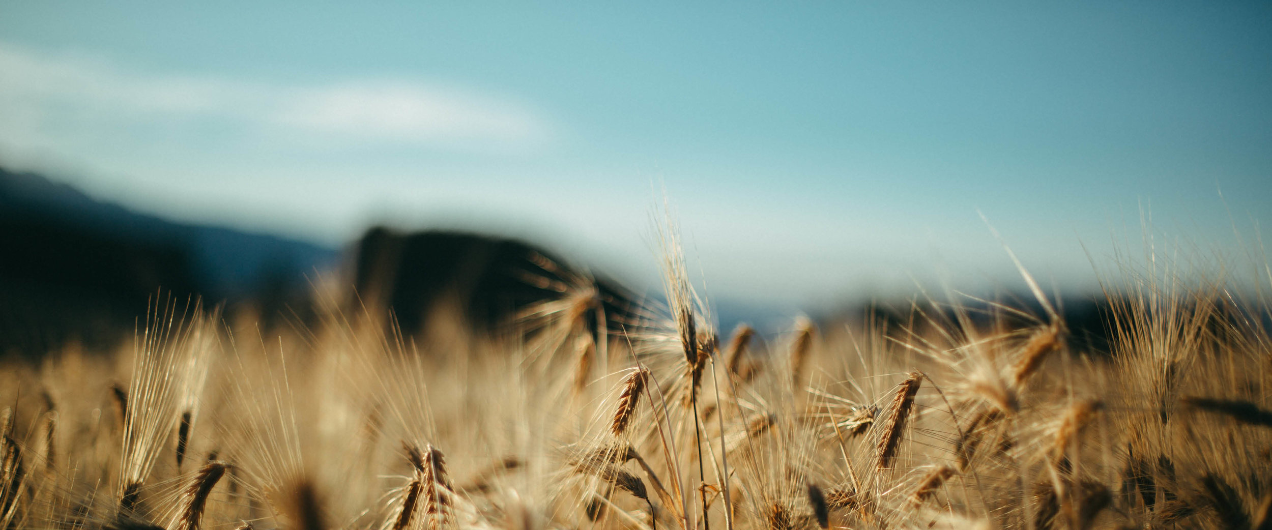 A alegria nasce no sair de si
