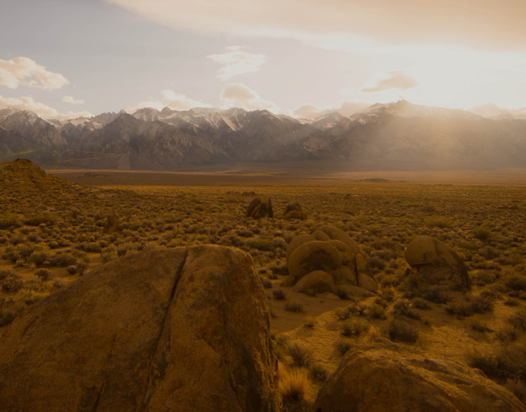 Festa litúrgica de Santo António de Lisboa