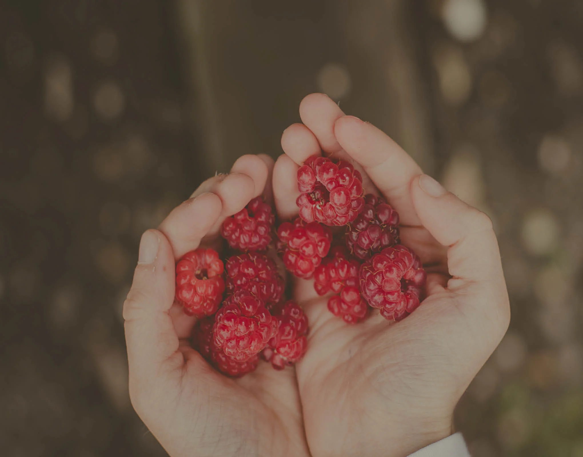 Terça-feira da décima primeira semana do tempo comum