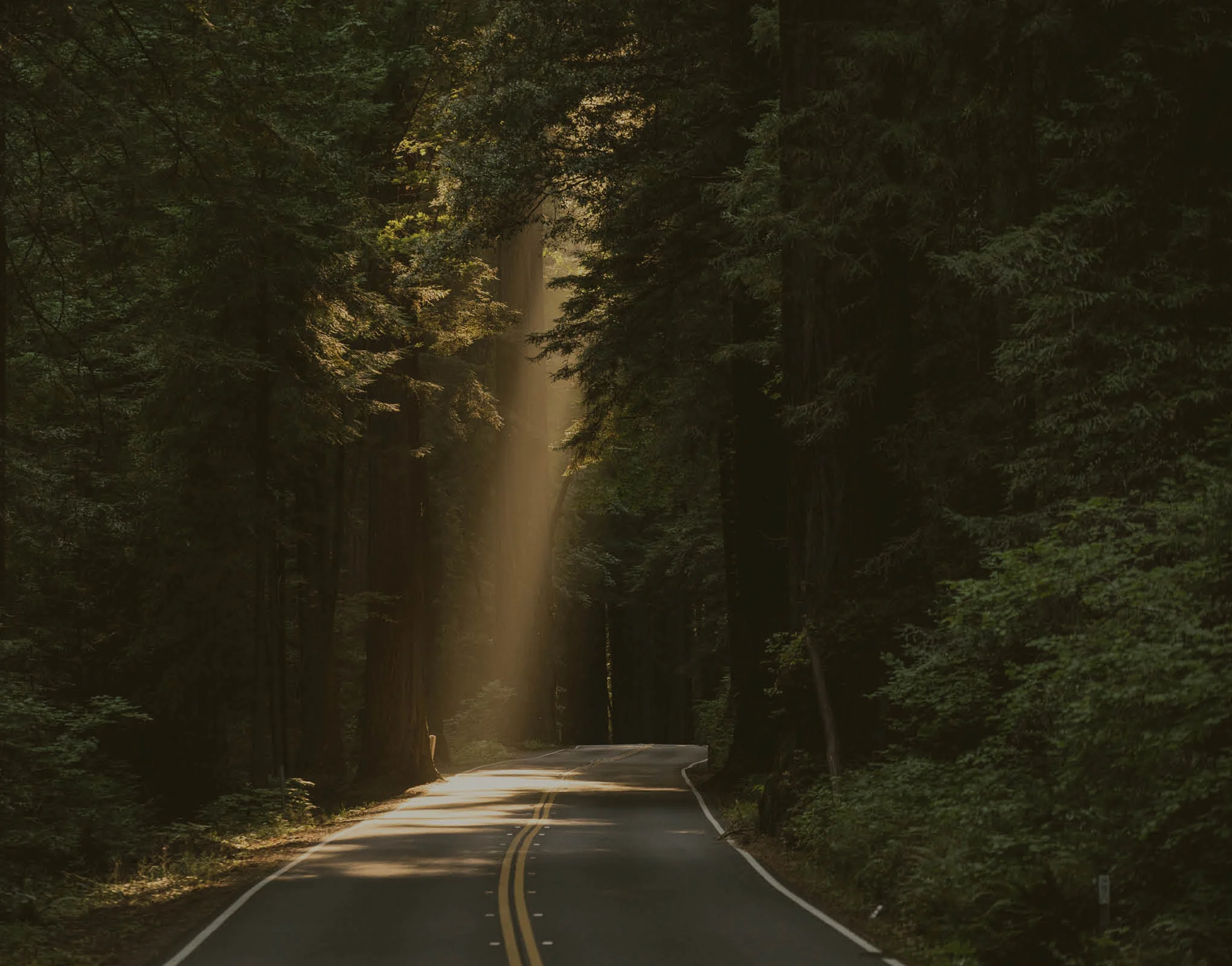 Terça-feira da décima segunda semana do tempo comum