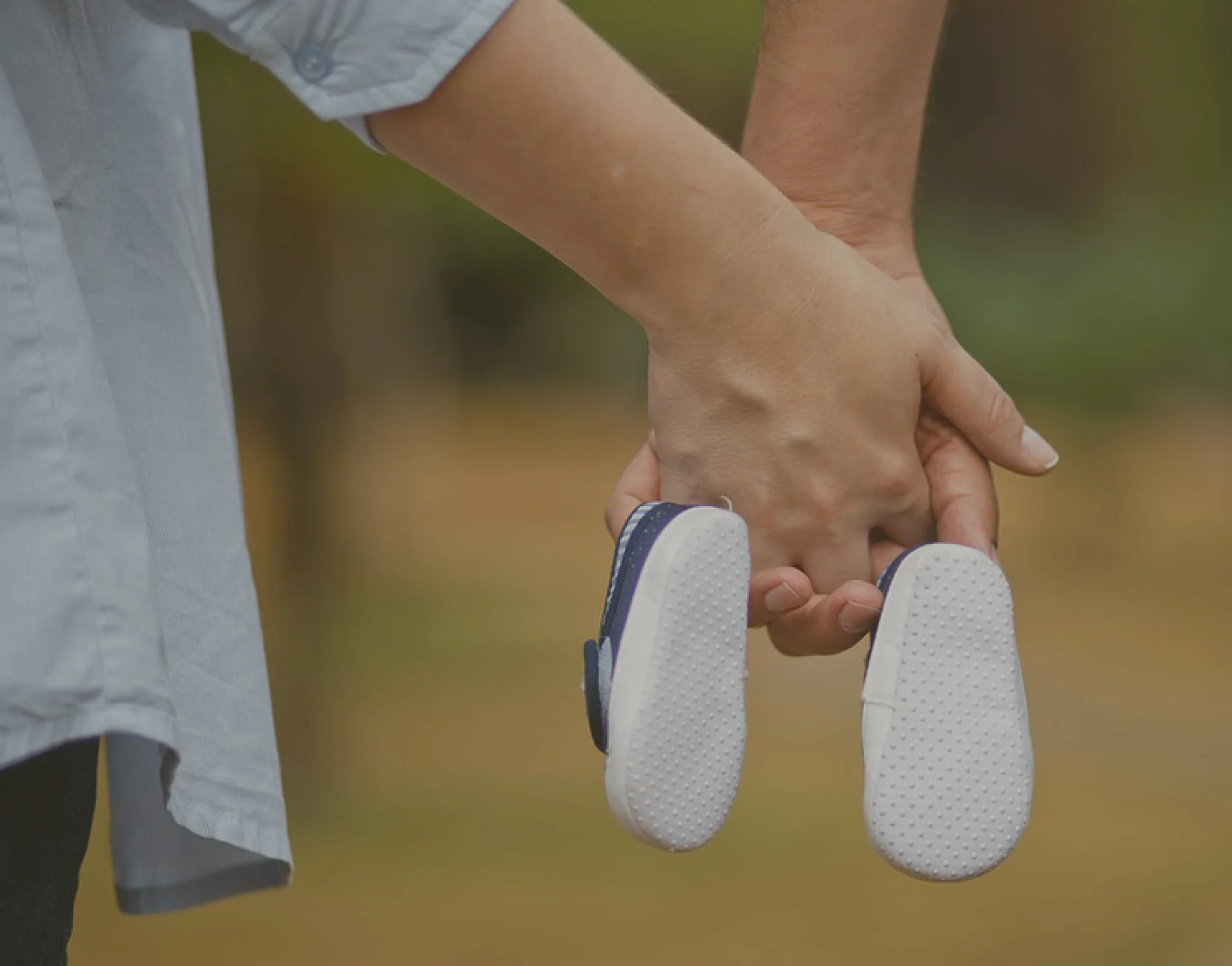Décimo quinto domingo do tempo comum