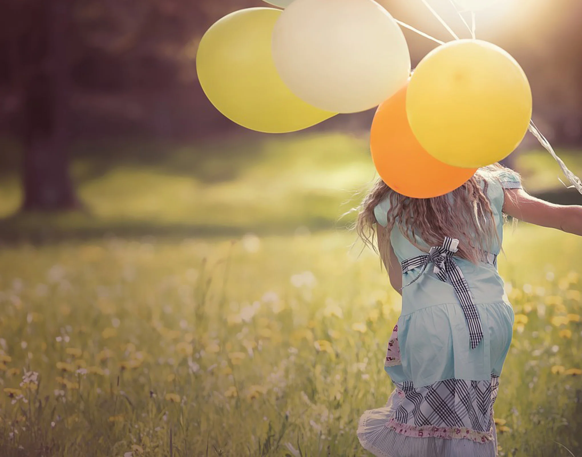 Décimo sétimo domingo do tempo comum