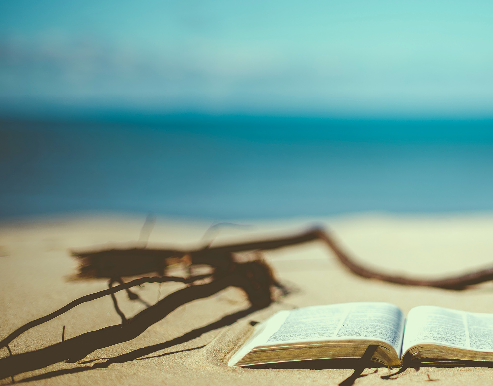 Terça-feira da décima sétima semana do tempo comum