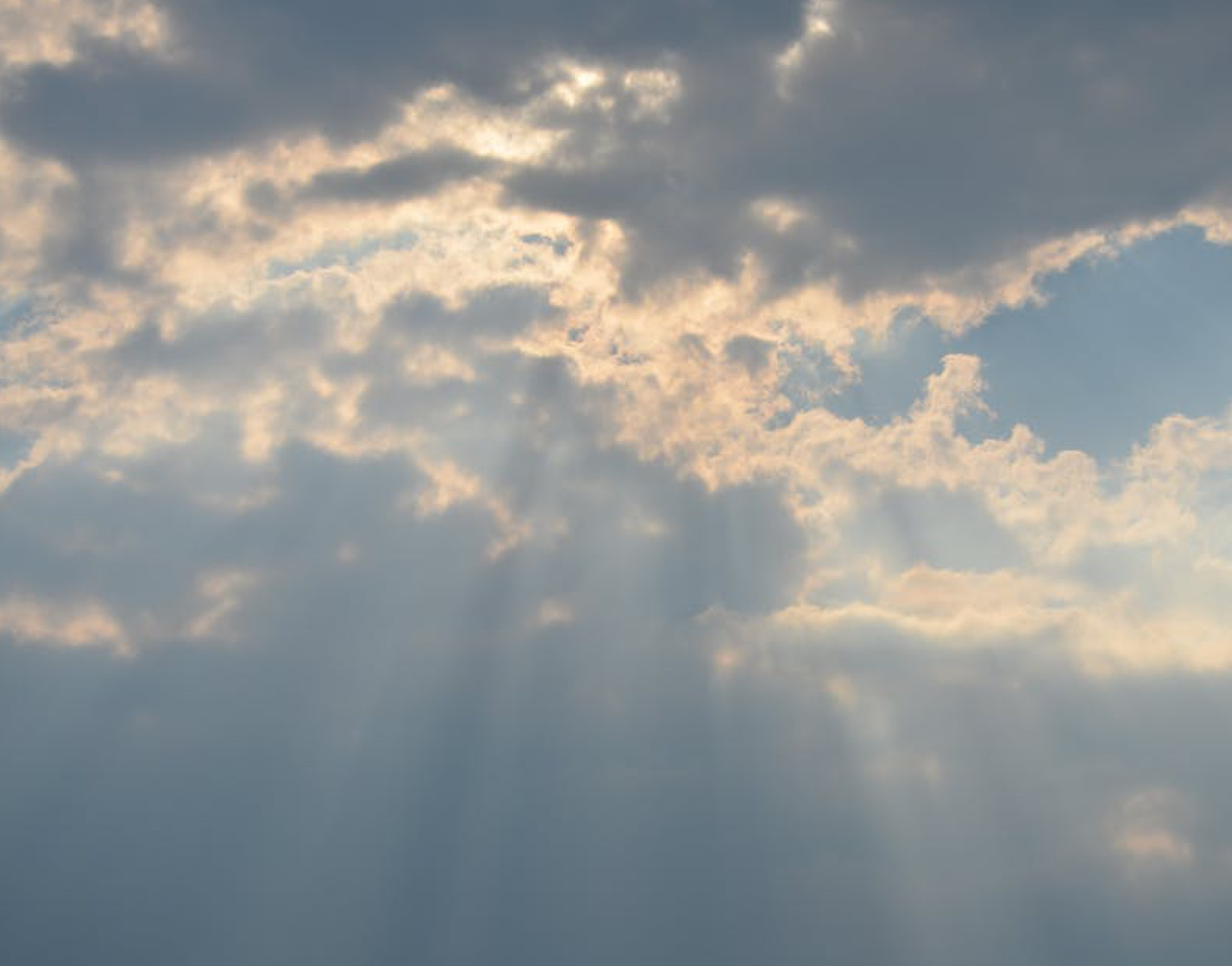 Quarta-feira da décima sexta semana do tempo comum