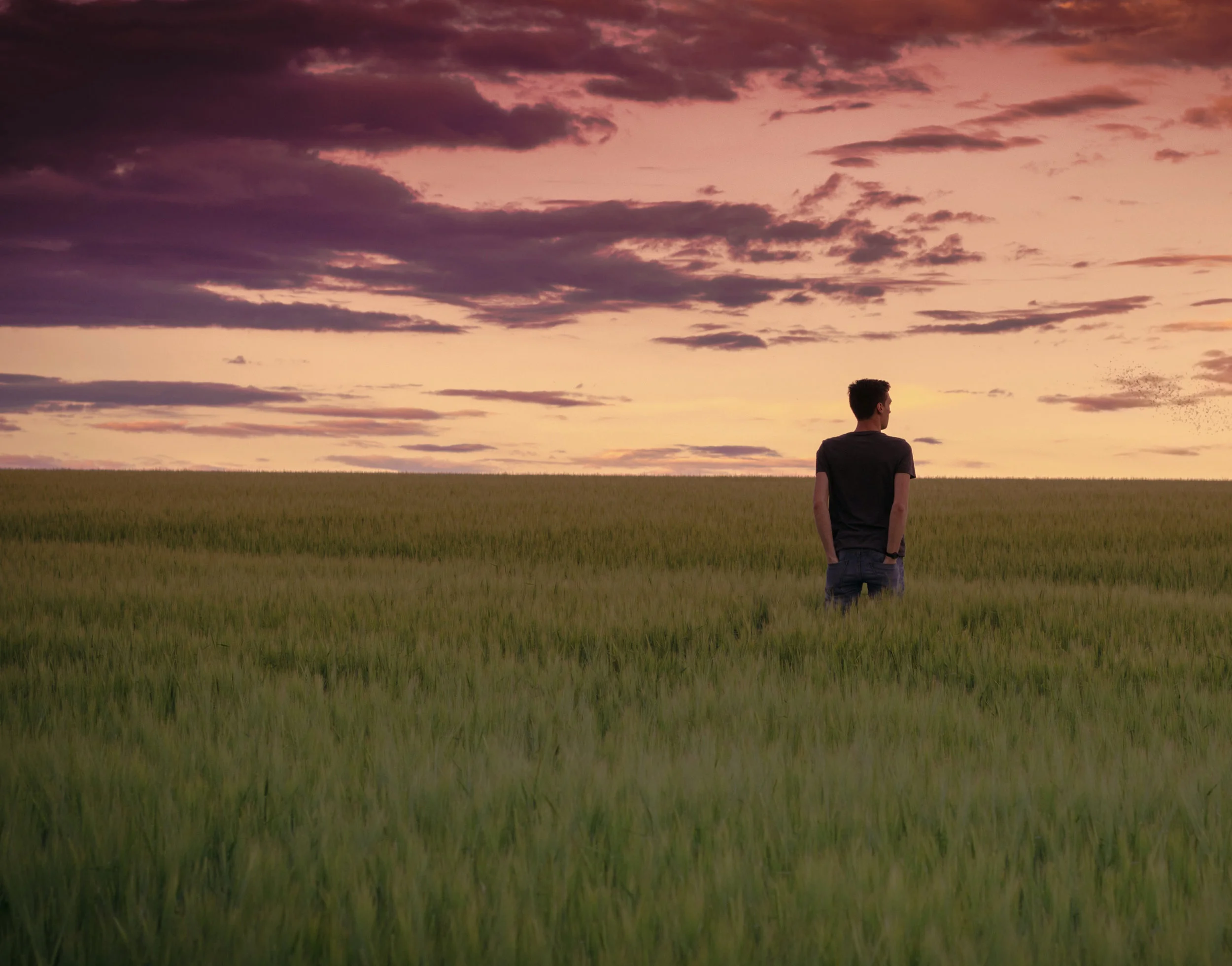 Vigésimo domingo do tempo comum