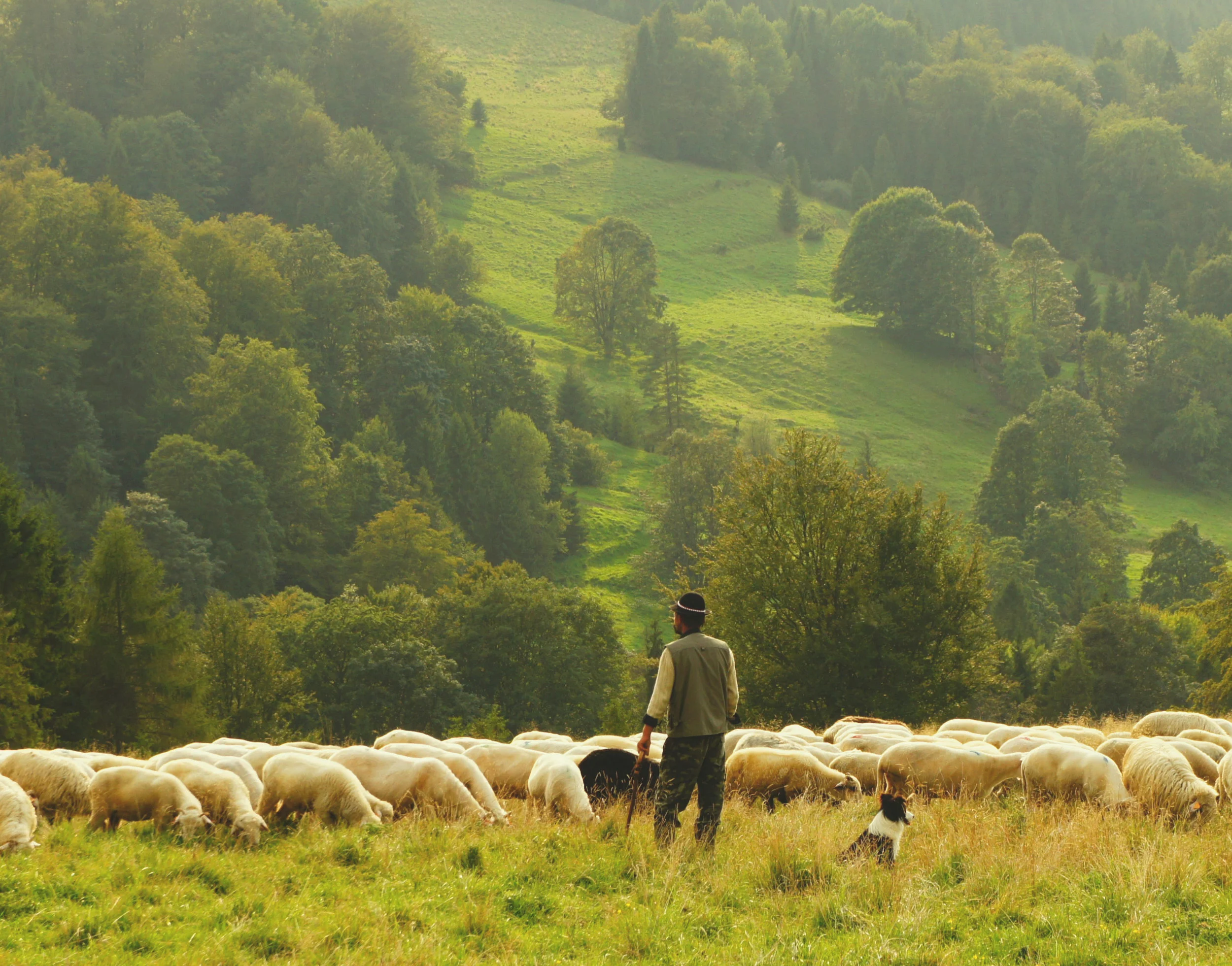 Terça-feira, memória litúrgica de São Bernardo
