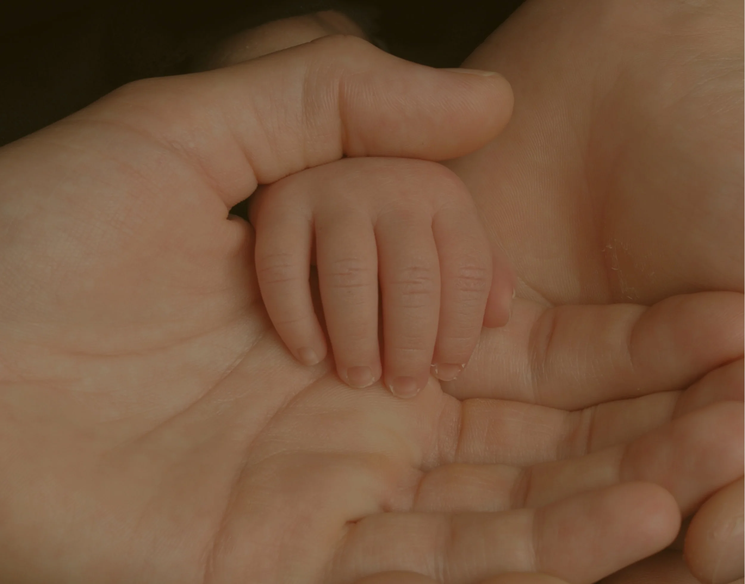 Sexta-feira da vigésima semana do tempo comum