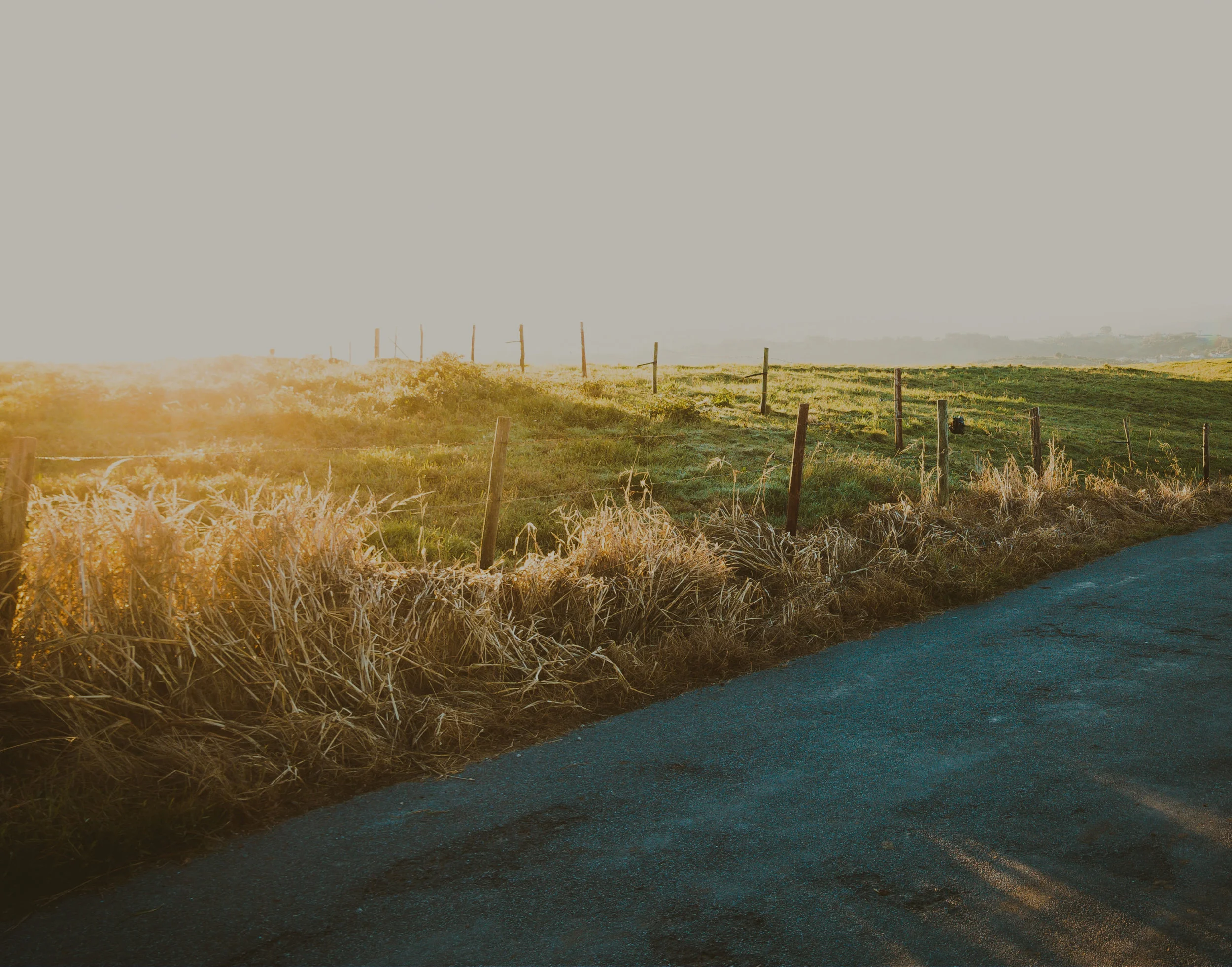 Quinta-feira, memória litúrgica de São Domingos