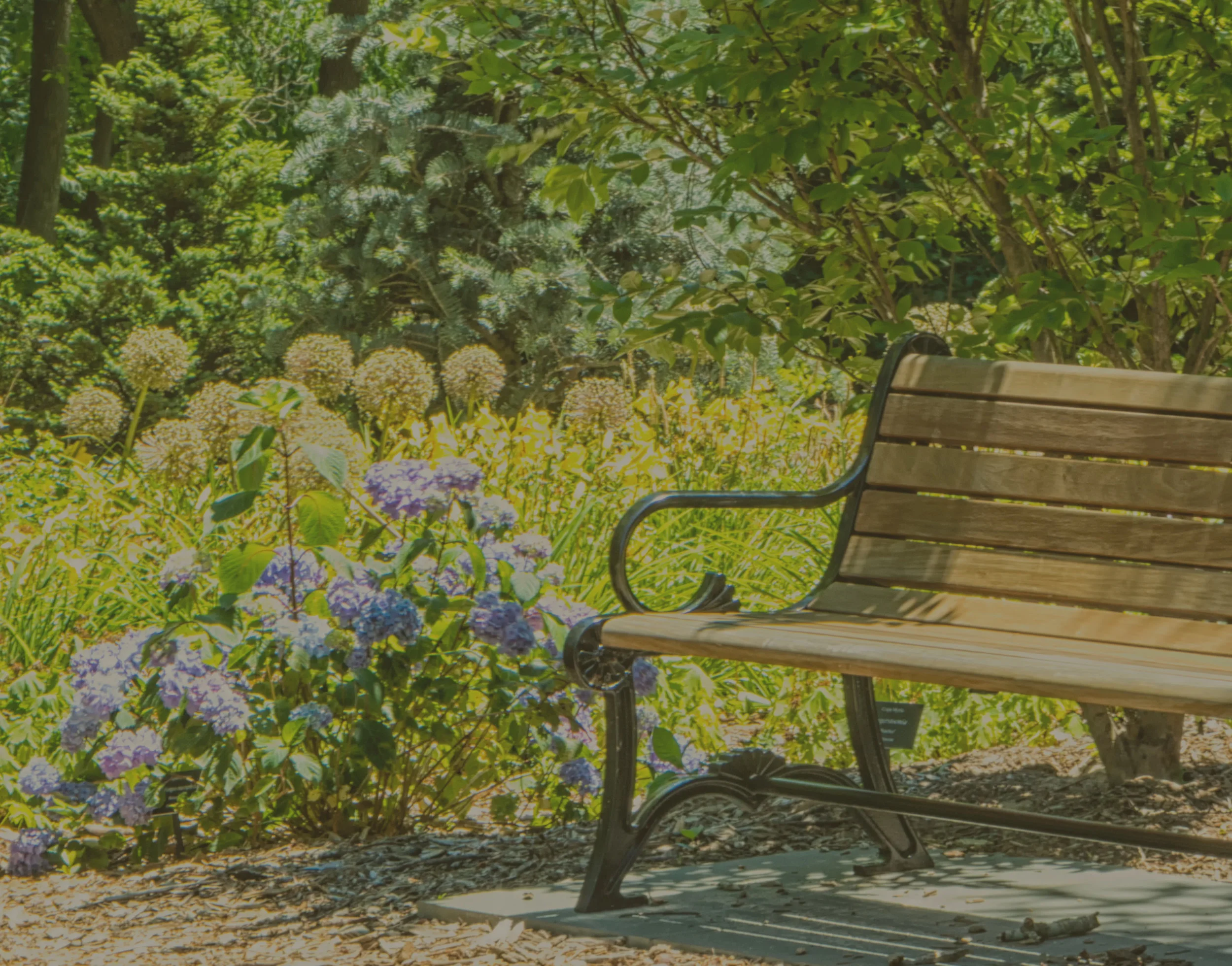 Décimo nono domingo do tempo comum