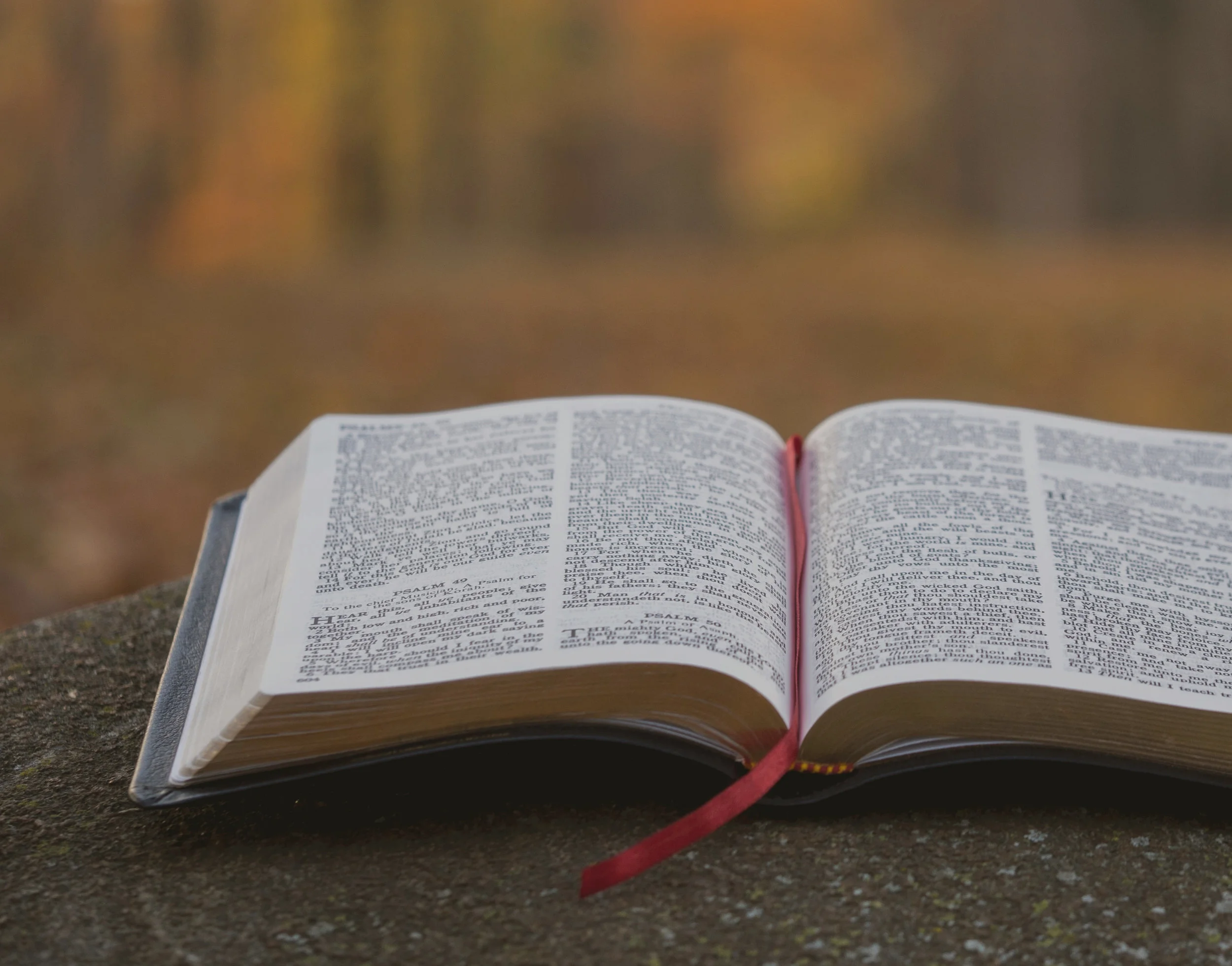 Segunda-feira da décima nona semana do tempo comum