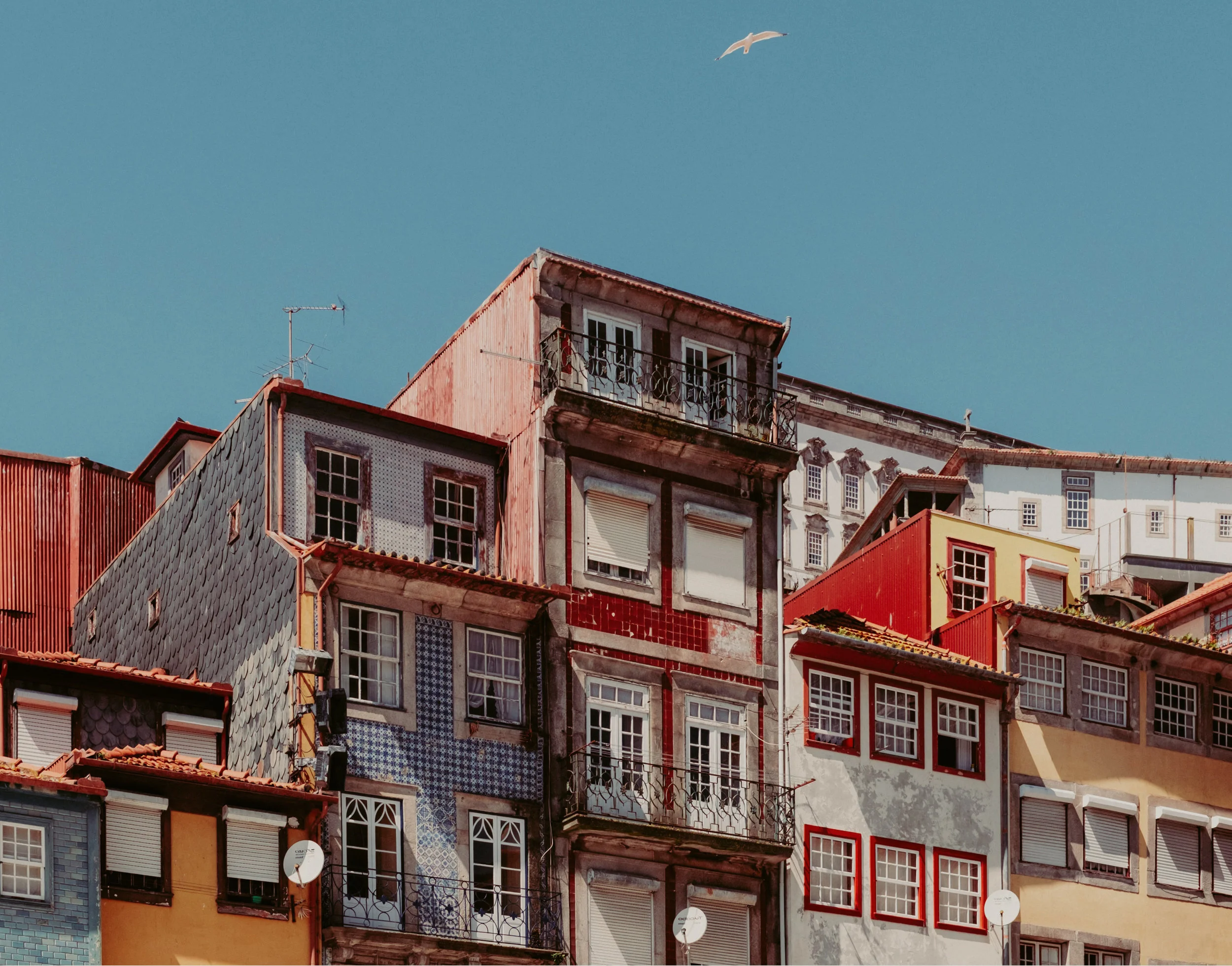 Sexta-feira da décima nona semana do tempo comum