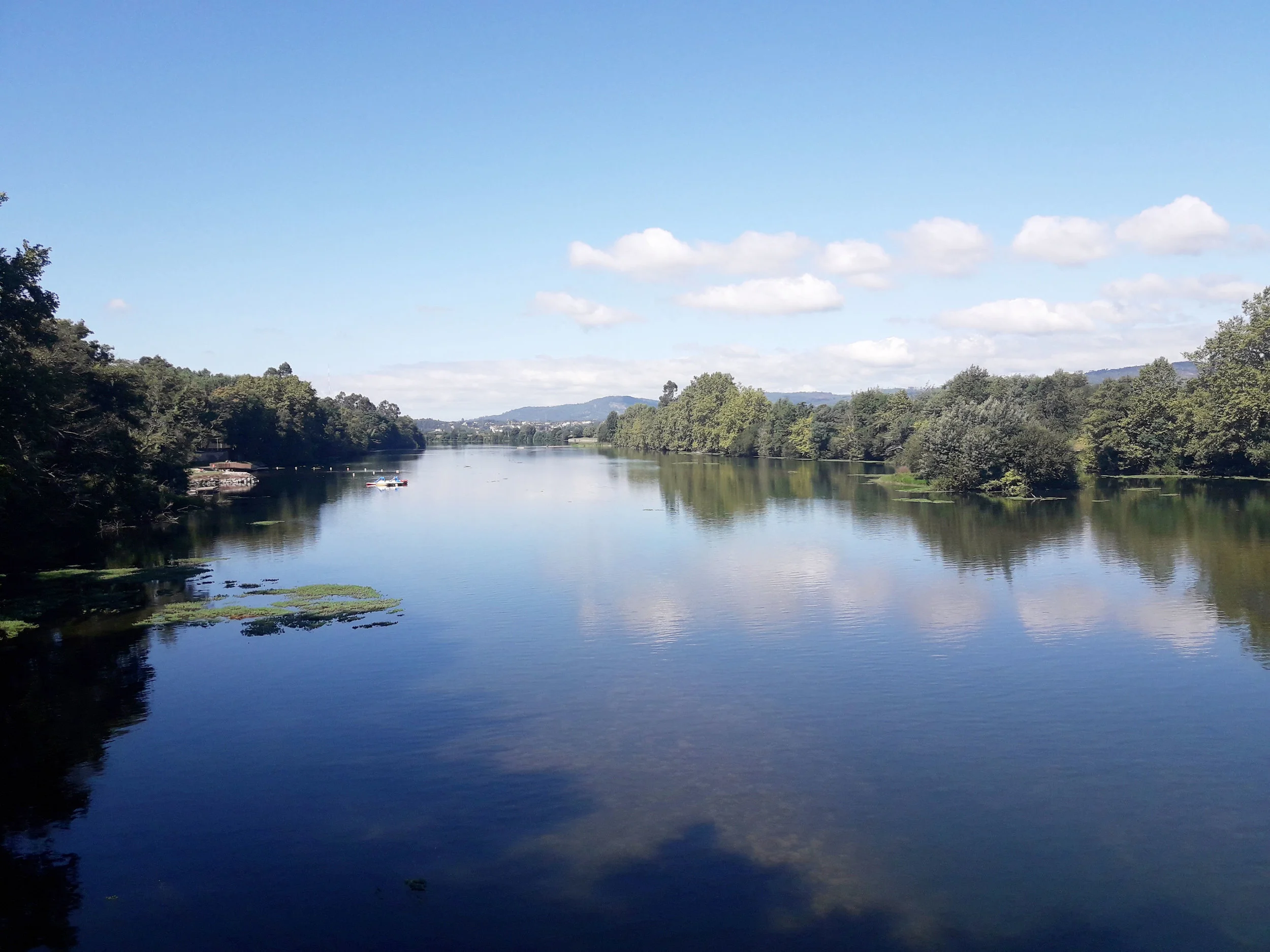 Domingo é Dia Mundial de Oração pelo Cuidado da Criação