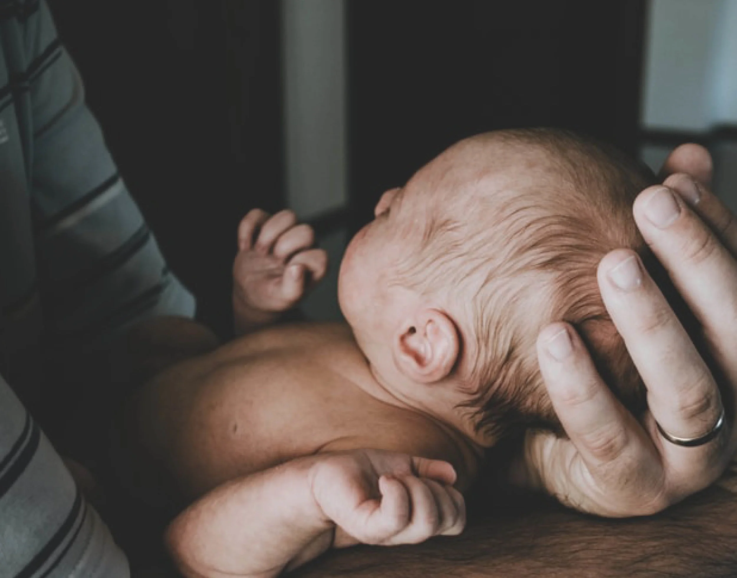 Vigésimo sexto domingo do tempo comum