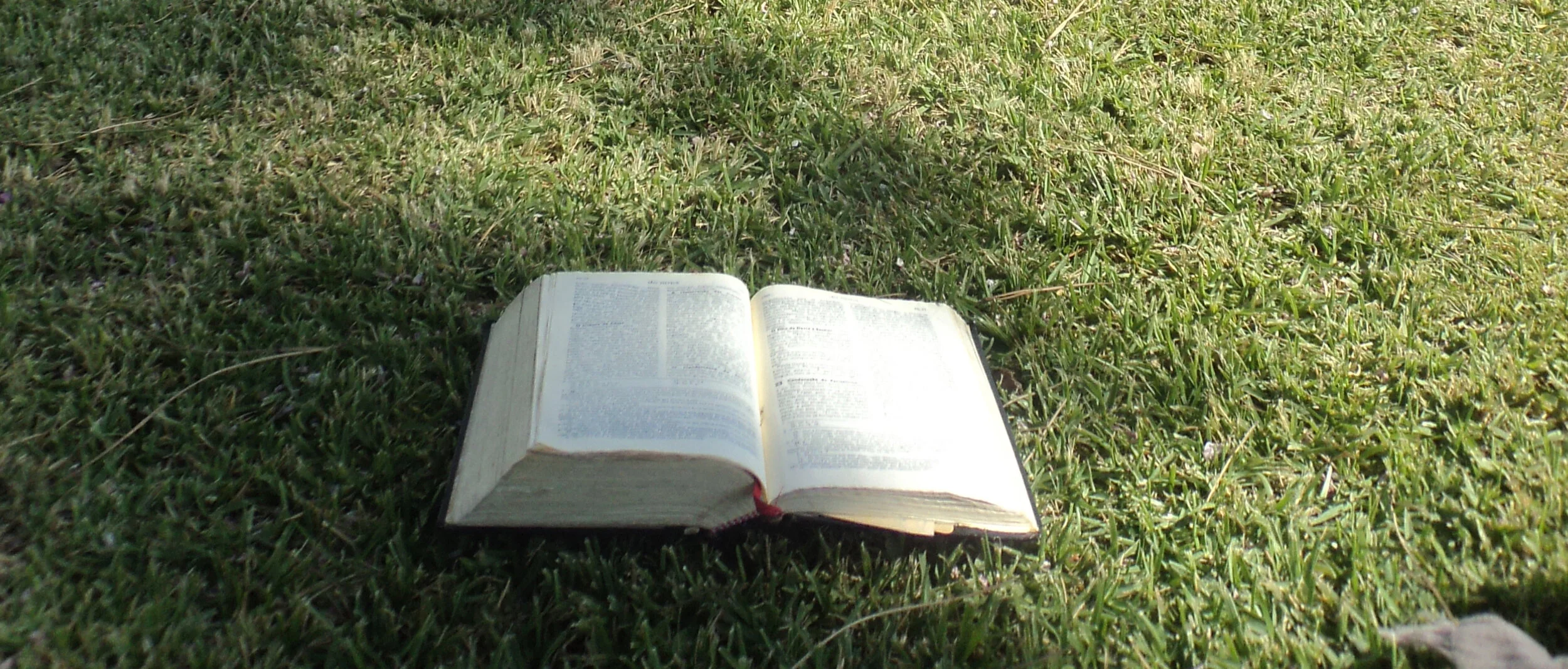 Domingo da Palavra de Deus