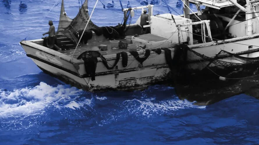 Papa denuncia dificuldades dos marinheiros, pescadores e famílias