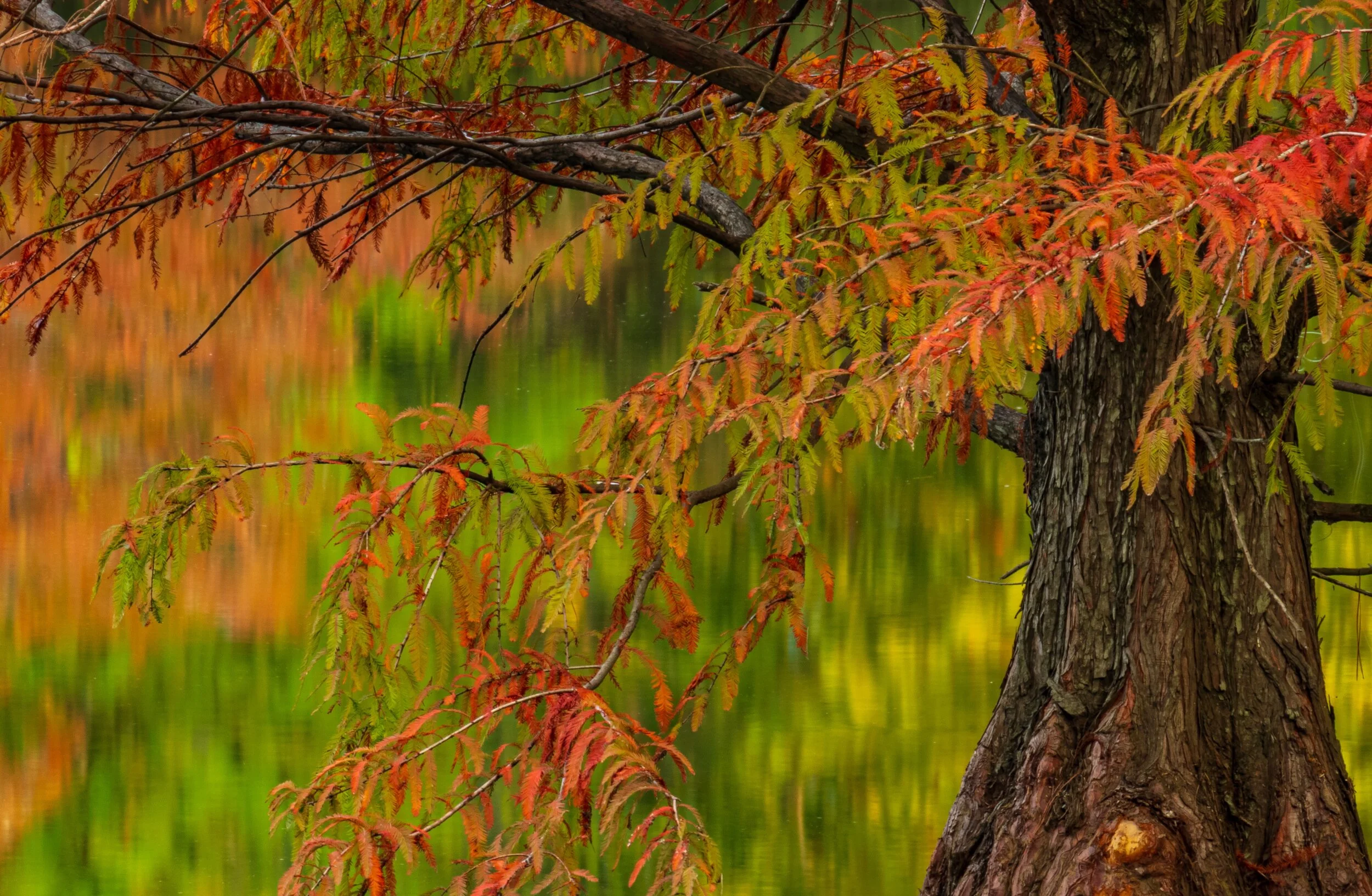 Sexta-feira da terceira semana da Quaresma