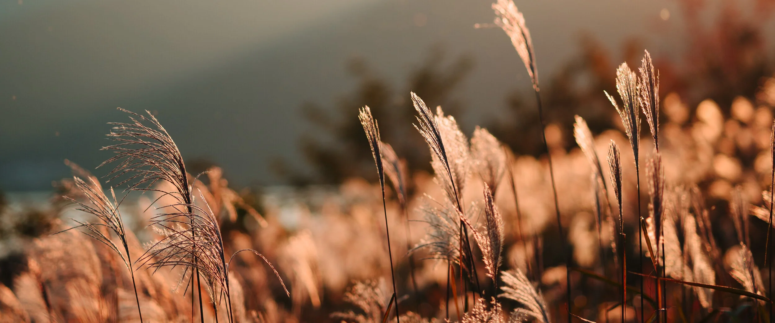 As palavras que a Cruz nos revela